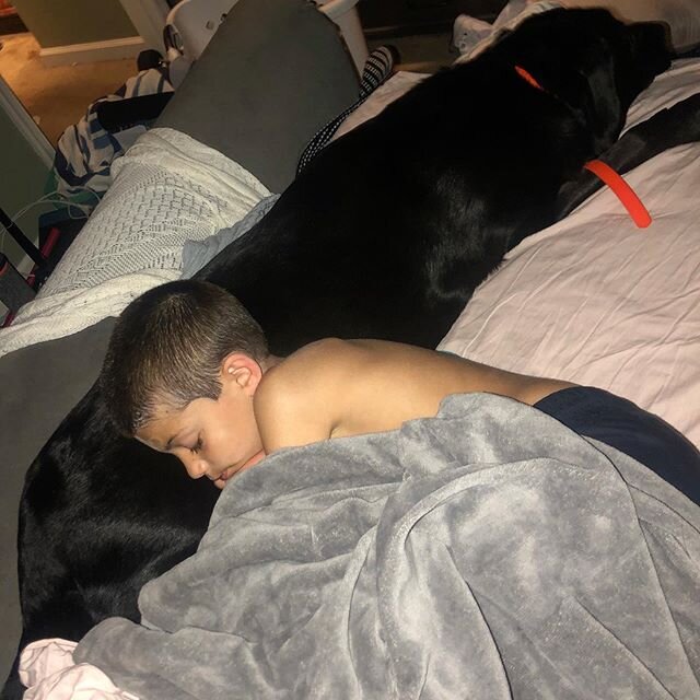 It&rsquo;s been a ROUGH week for me. The circumstances around losing Zoey (our dog) really threw me for a loop, and my kids are feeling the pinch as well (they&rsquo;ve slept in my bed every night, which is what they tend to do when they&rsquo;re fee