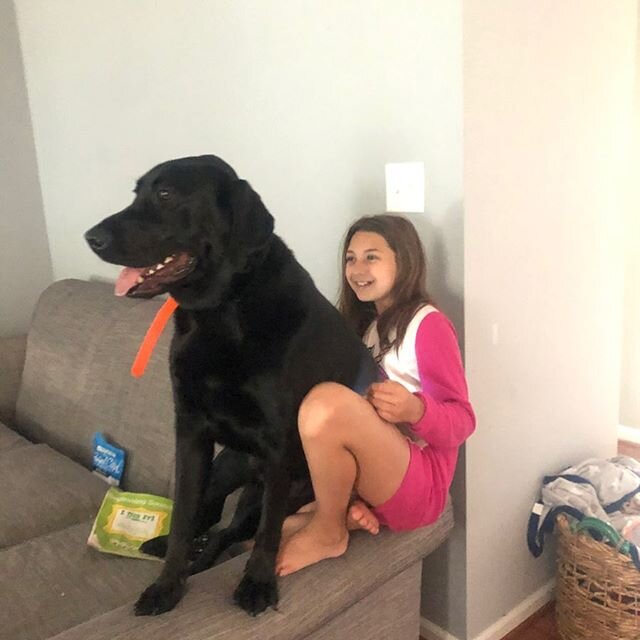 Boone loves to sit on Cameron every.single.morning, when she comes down the stairs. We didn&rsquo;t know his true dedication to the ritual until he even sat on the ledge of the sofa to do it 😂 He&rsquo;s one of a kind, our Boone Bear. .
#boonebear #