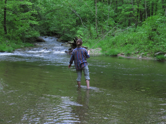Fly Fishing on the Rapidan River