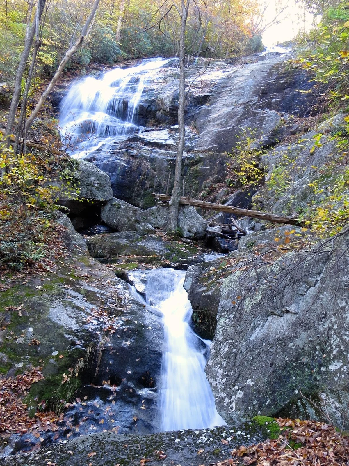 IMG_0271.jpg