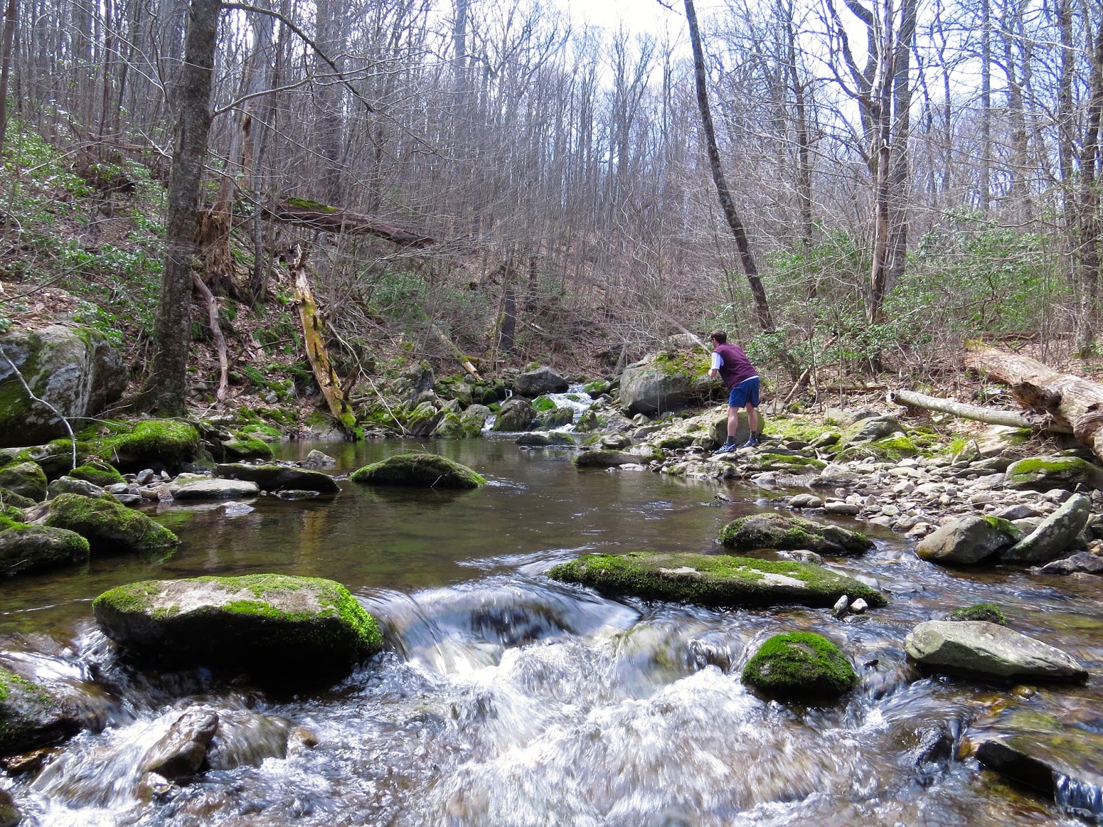 Fly Fishing the Rapidan River Headwaters — Snows Out West