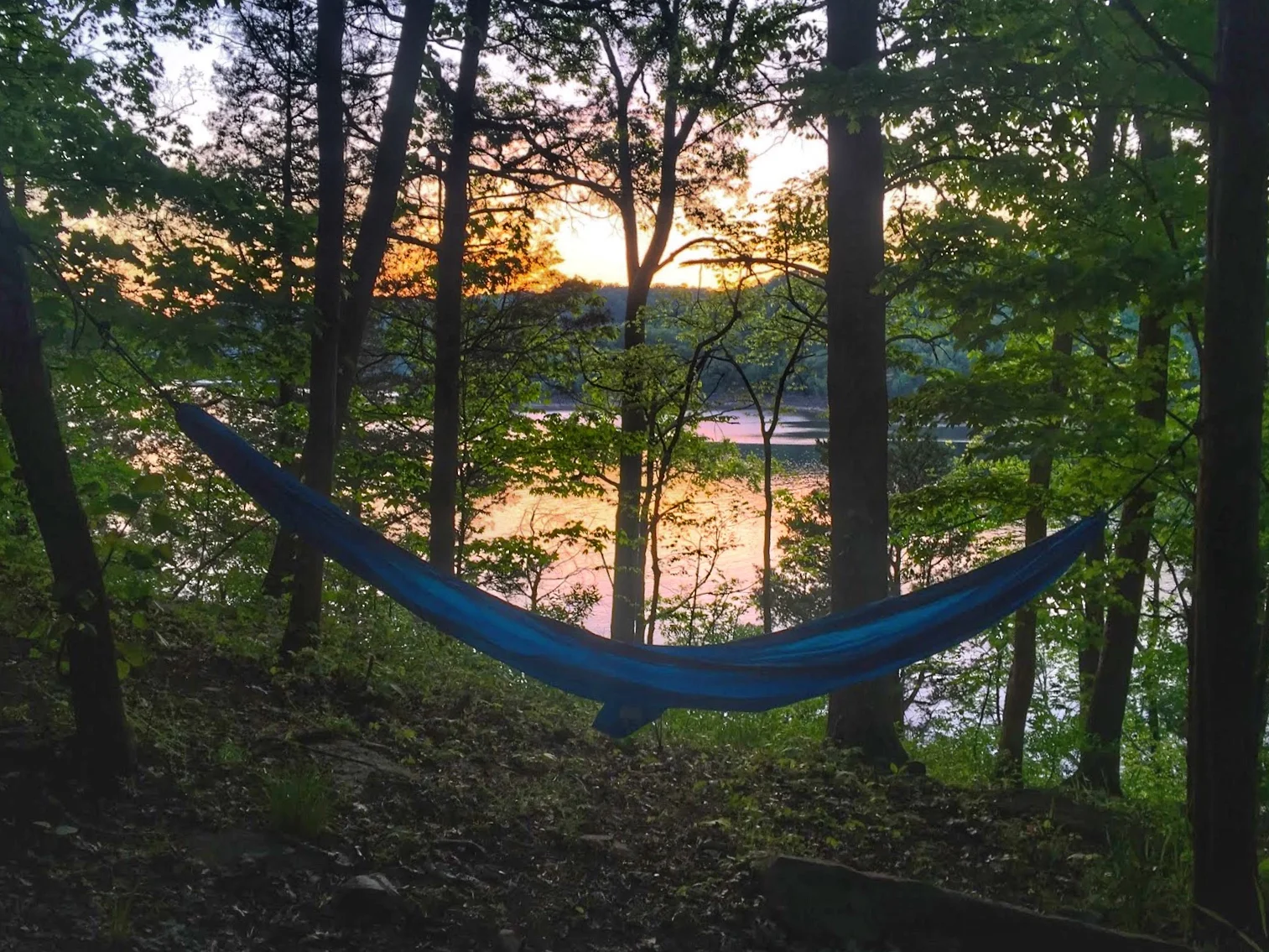 hammock.jpg