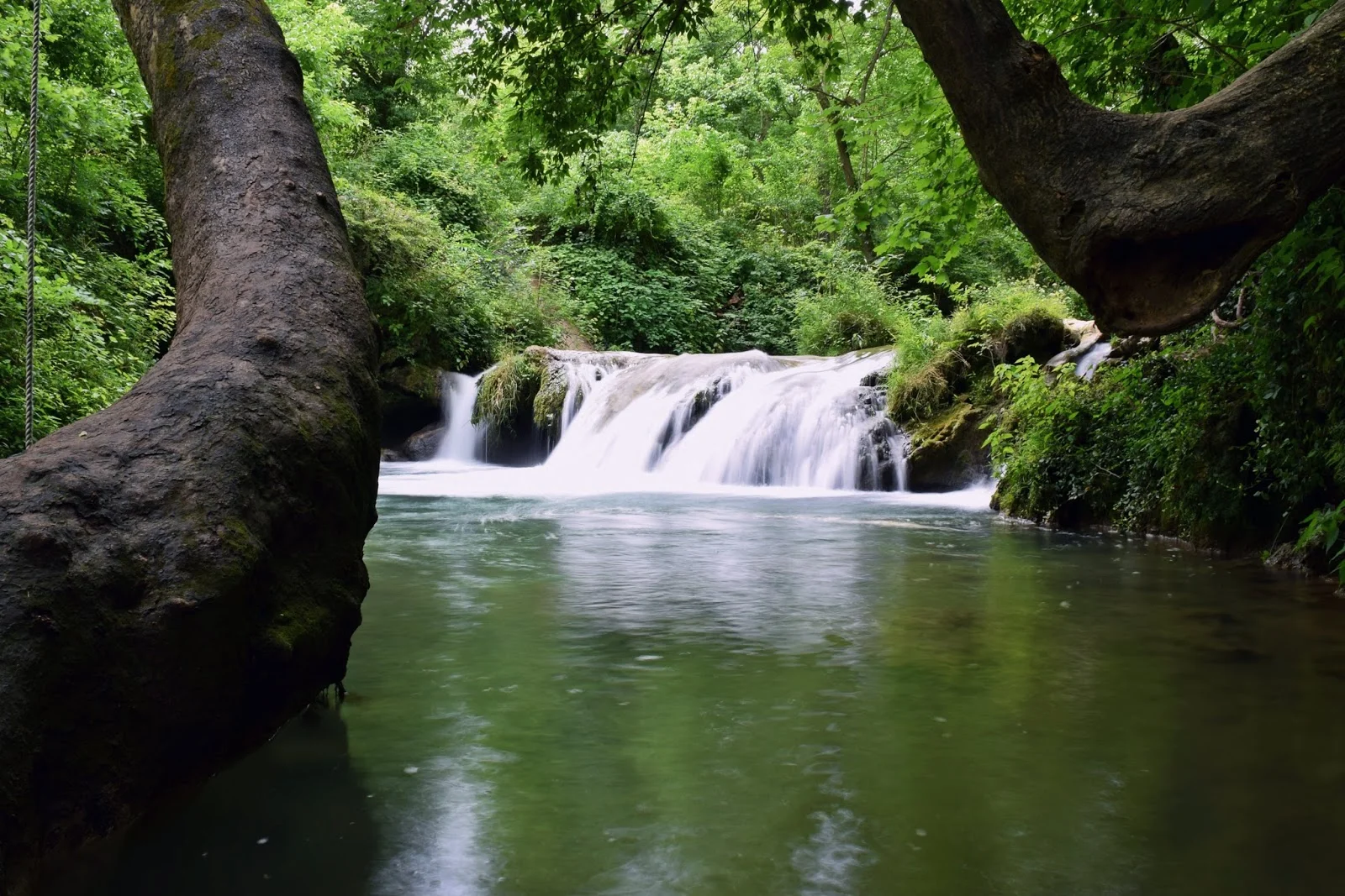 DSC_0264.jpg
