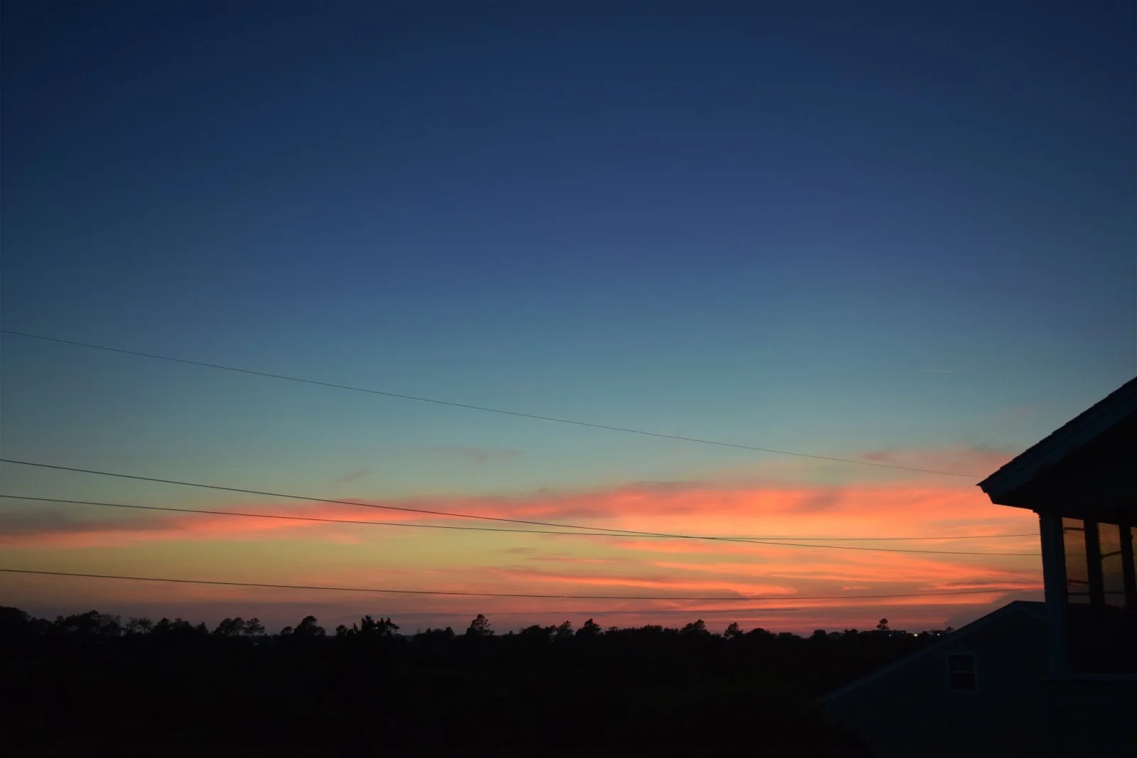 DSC_0027.jpg