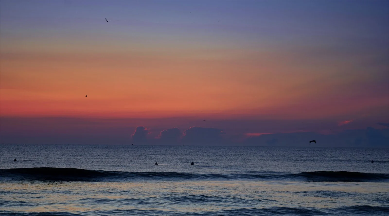DSC_0091.jpg