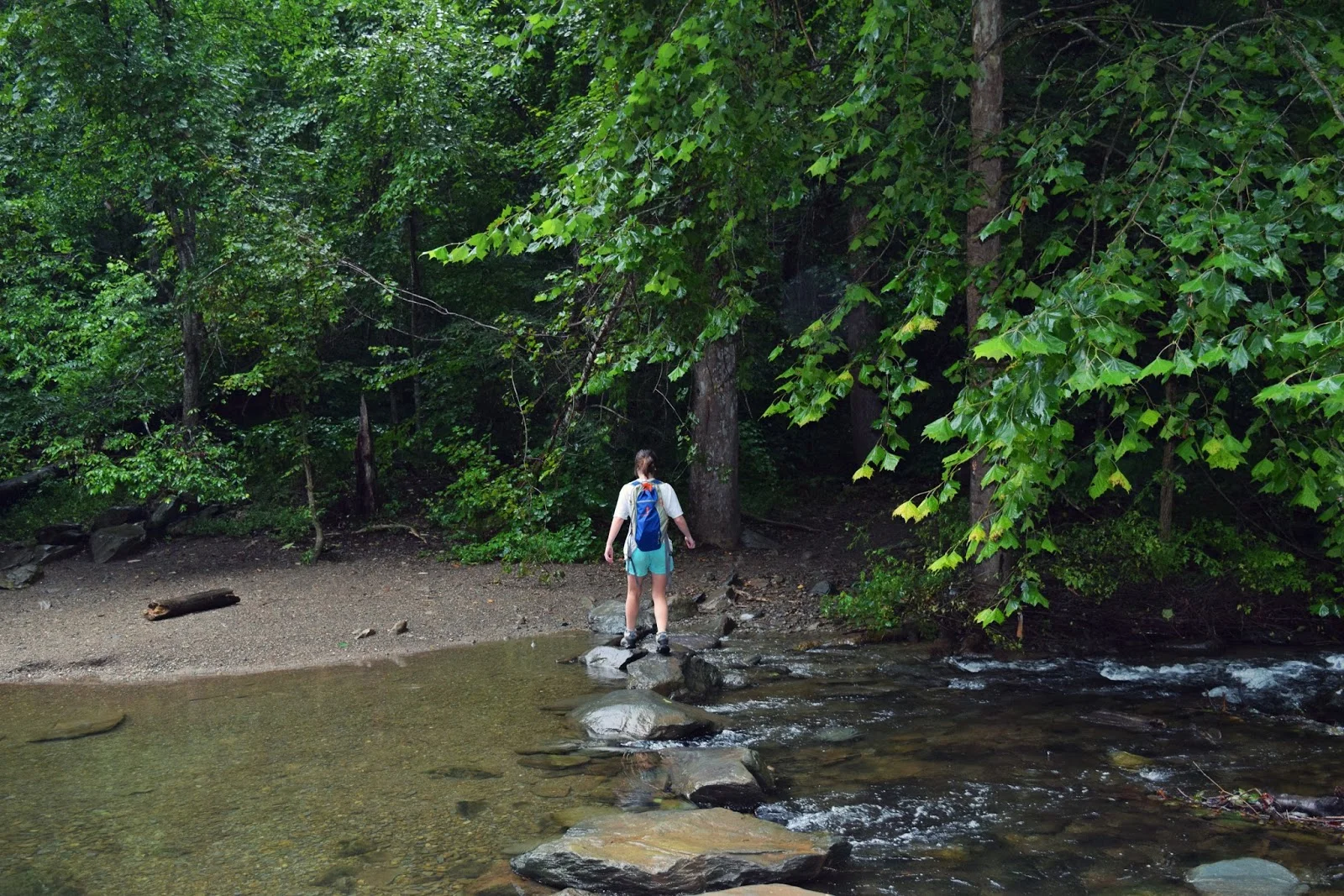 DSC_0032.jpg