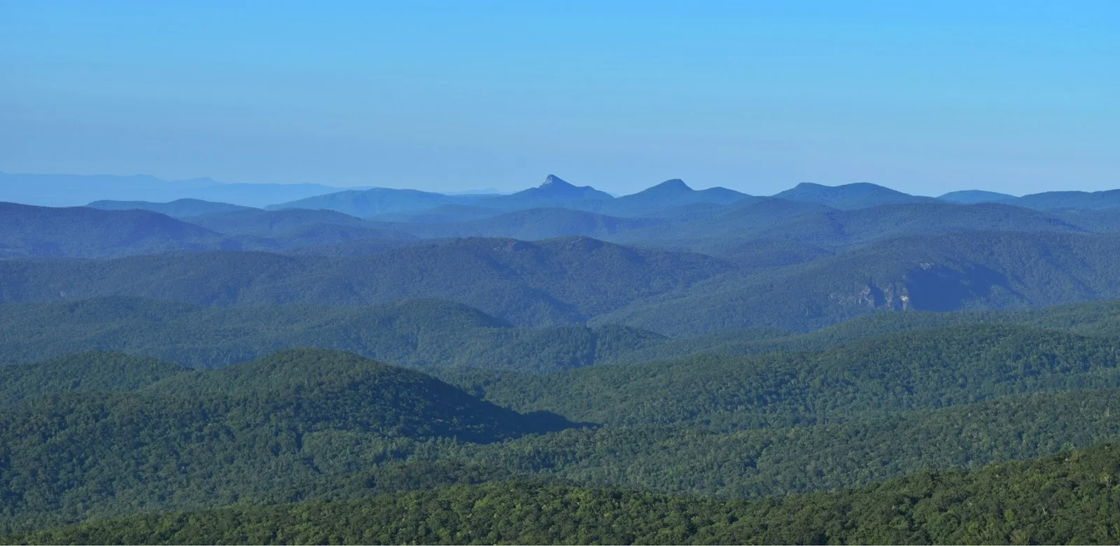 That pointy mountan is Linville Gorge Wilderness!