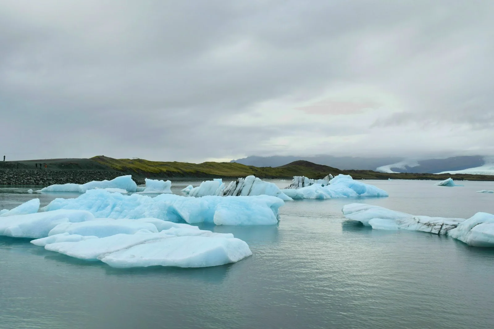 DSC_0204.jpg