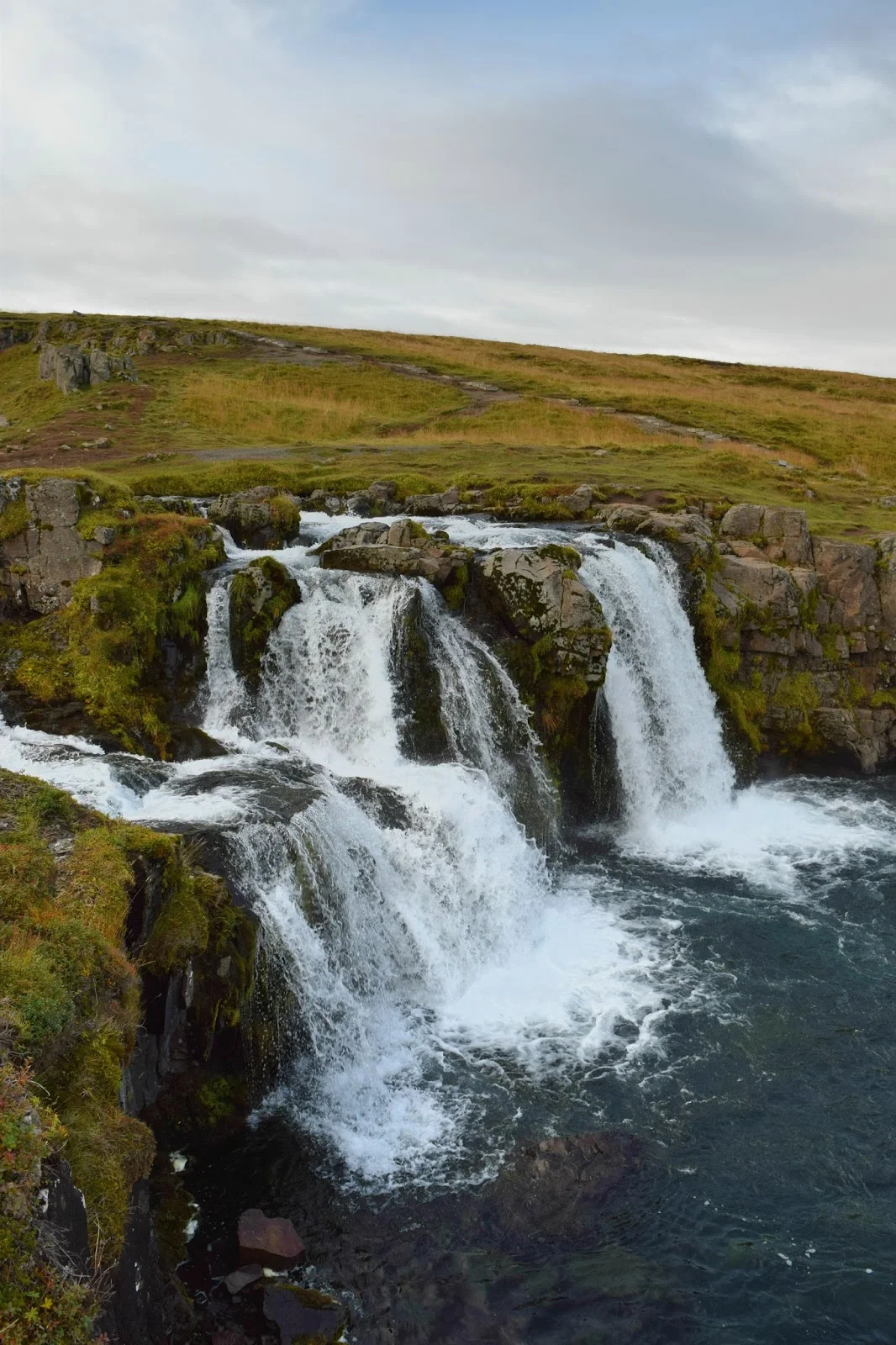 DSC_0229.jpg