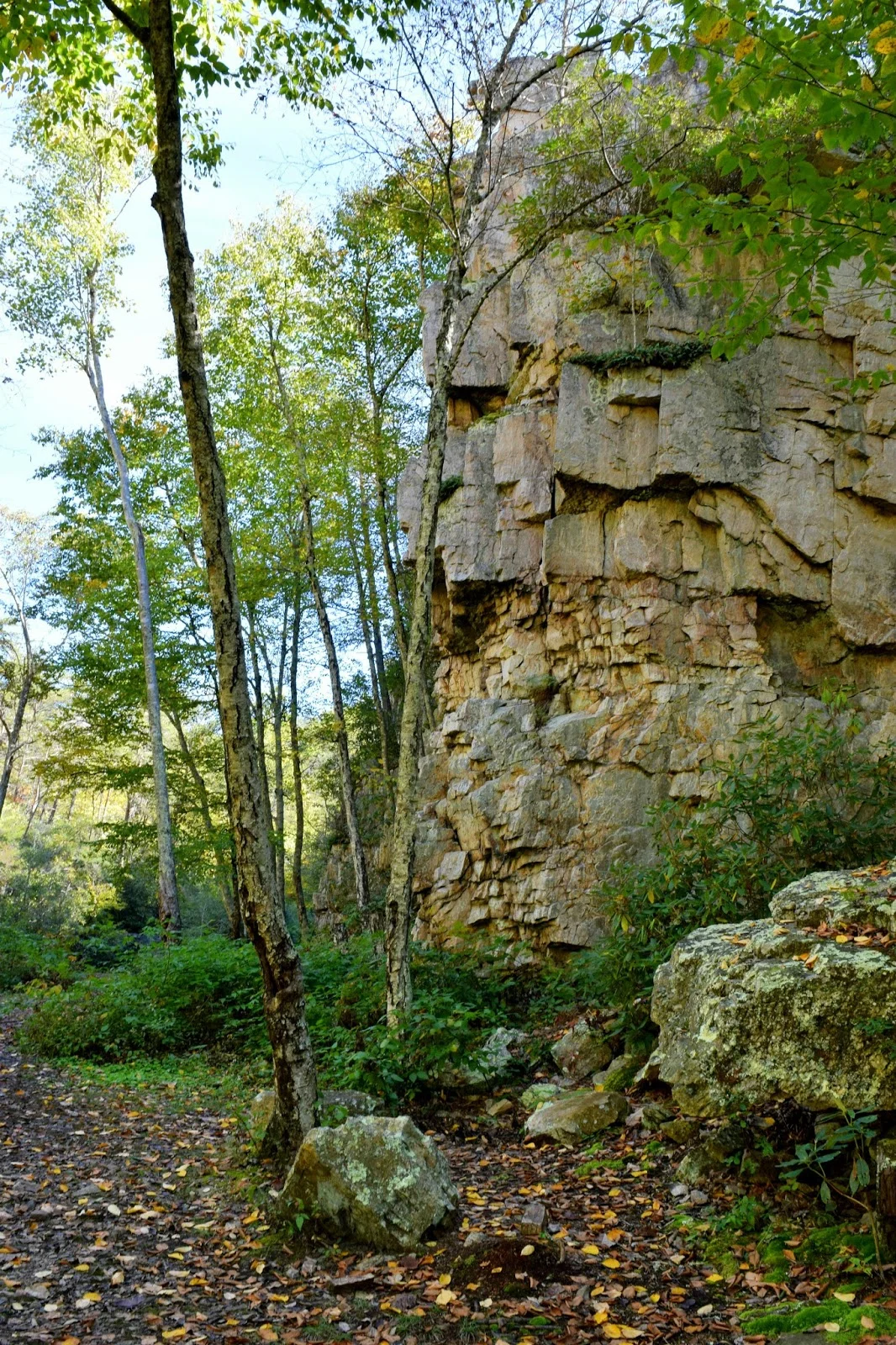 DSC_0214.jpg