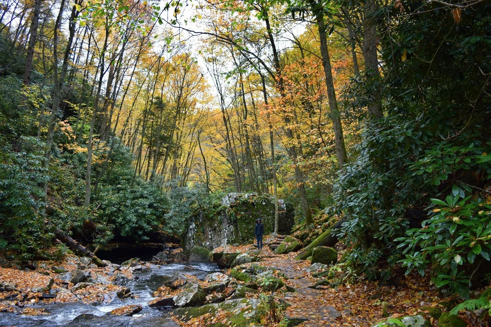 DSC_0556.jpg