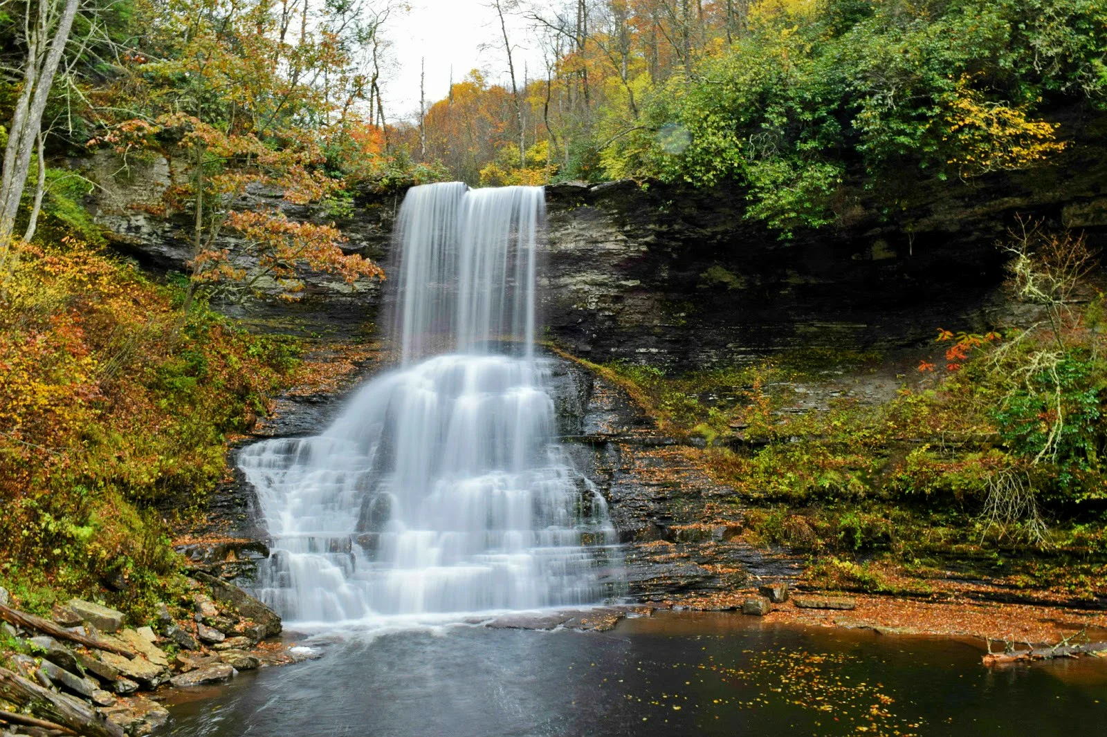 DSC_0539.jpg