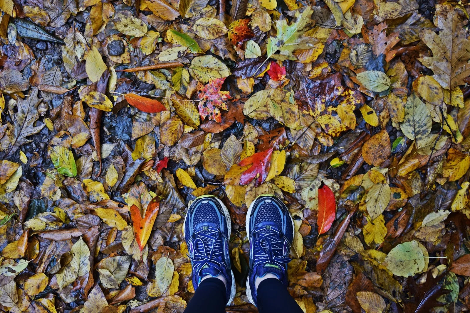 DSC_0574.jpg