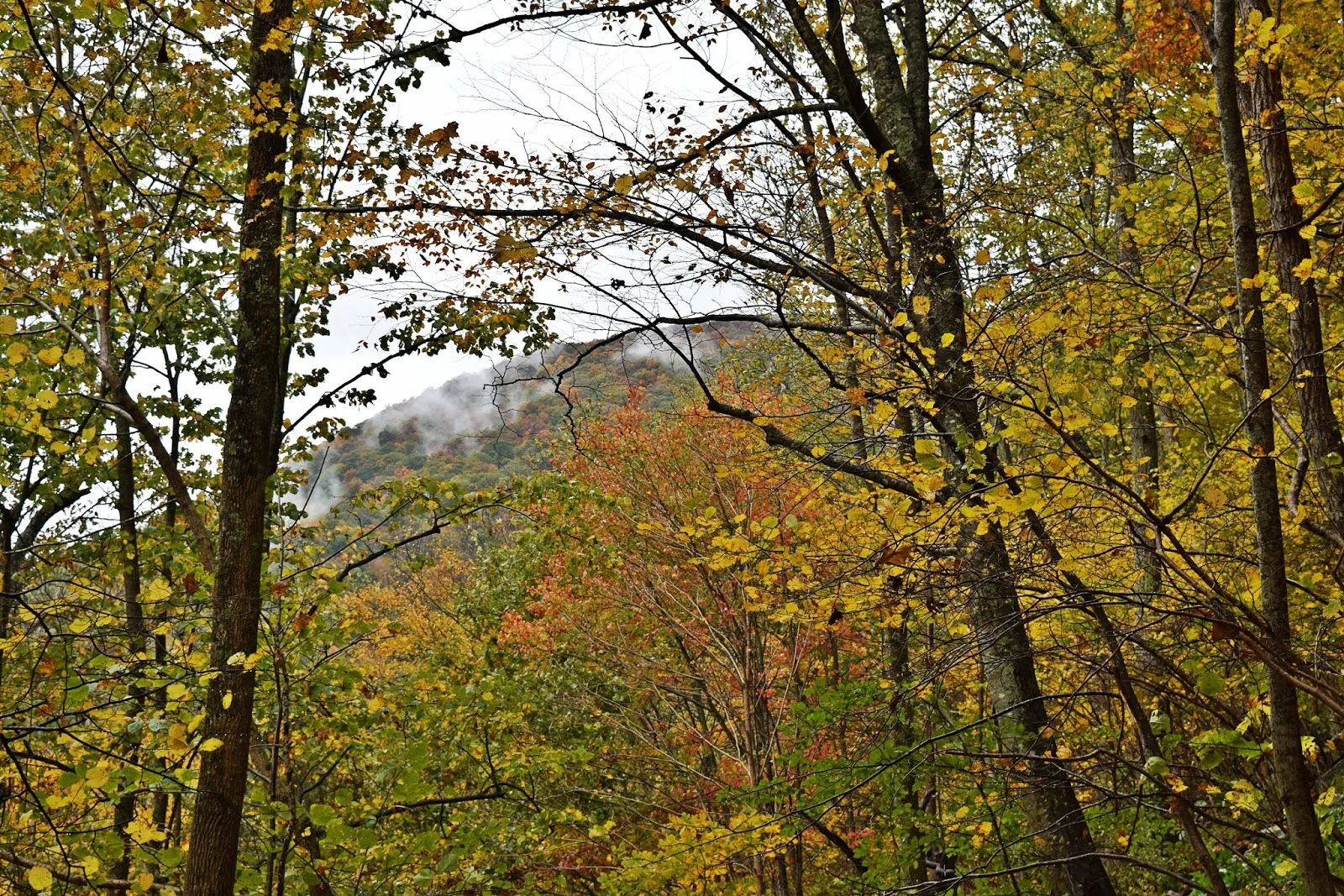 DSC_0576.jpg
