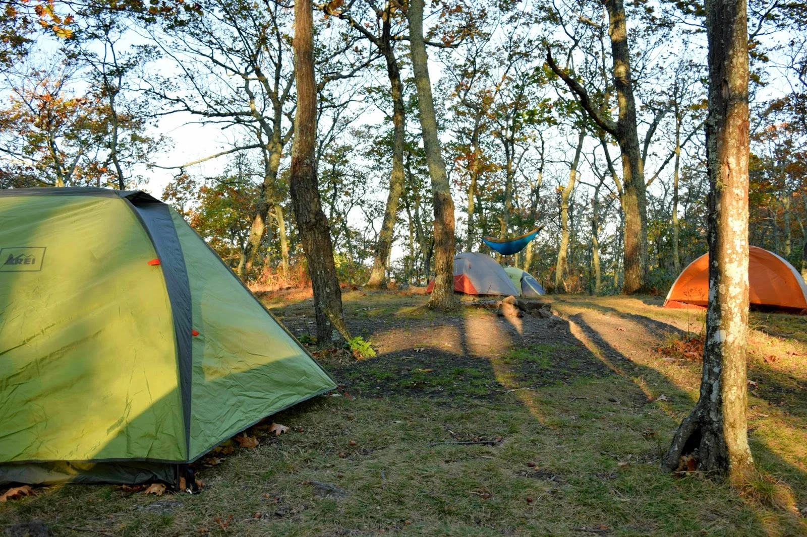 DSC_0646.jpg