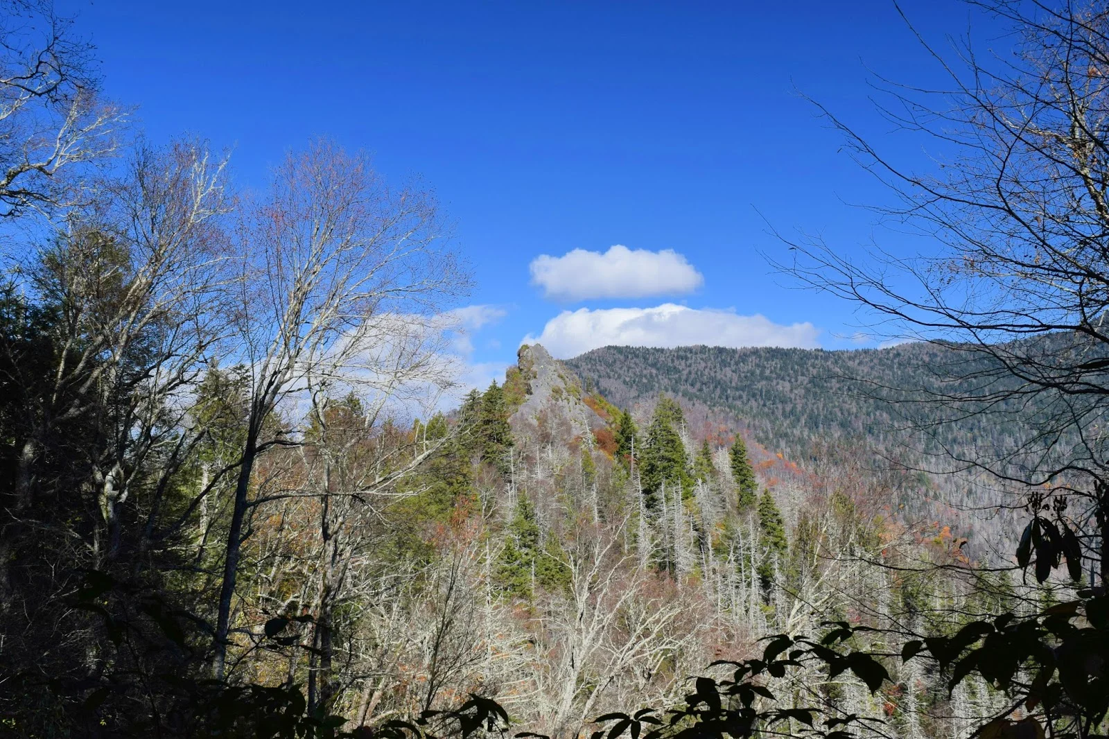 DSC_0604.jpg