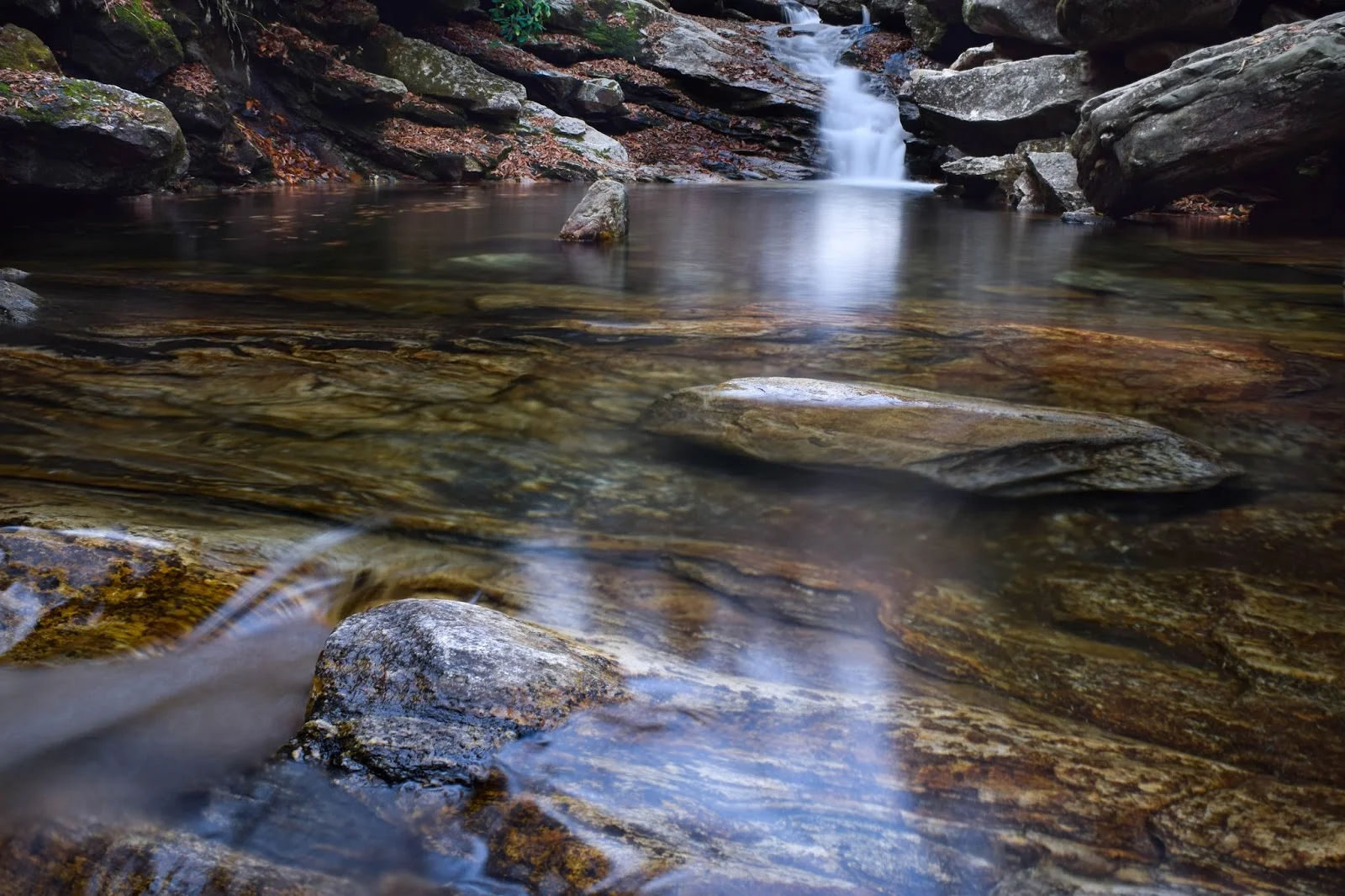 DSC_0211-2.jpg