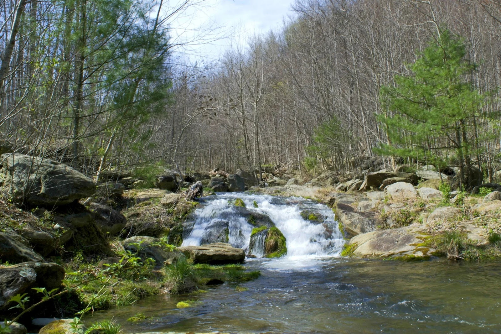 DSC_0194.jpg
