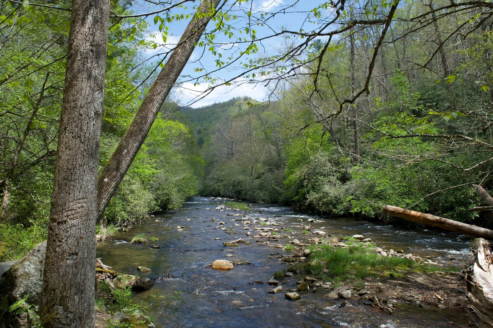 DSC_0525.jpg