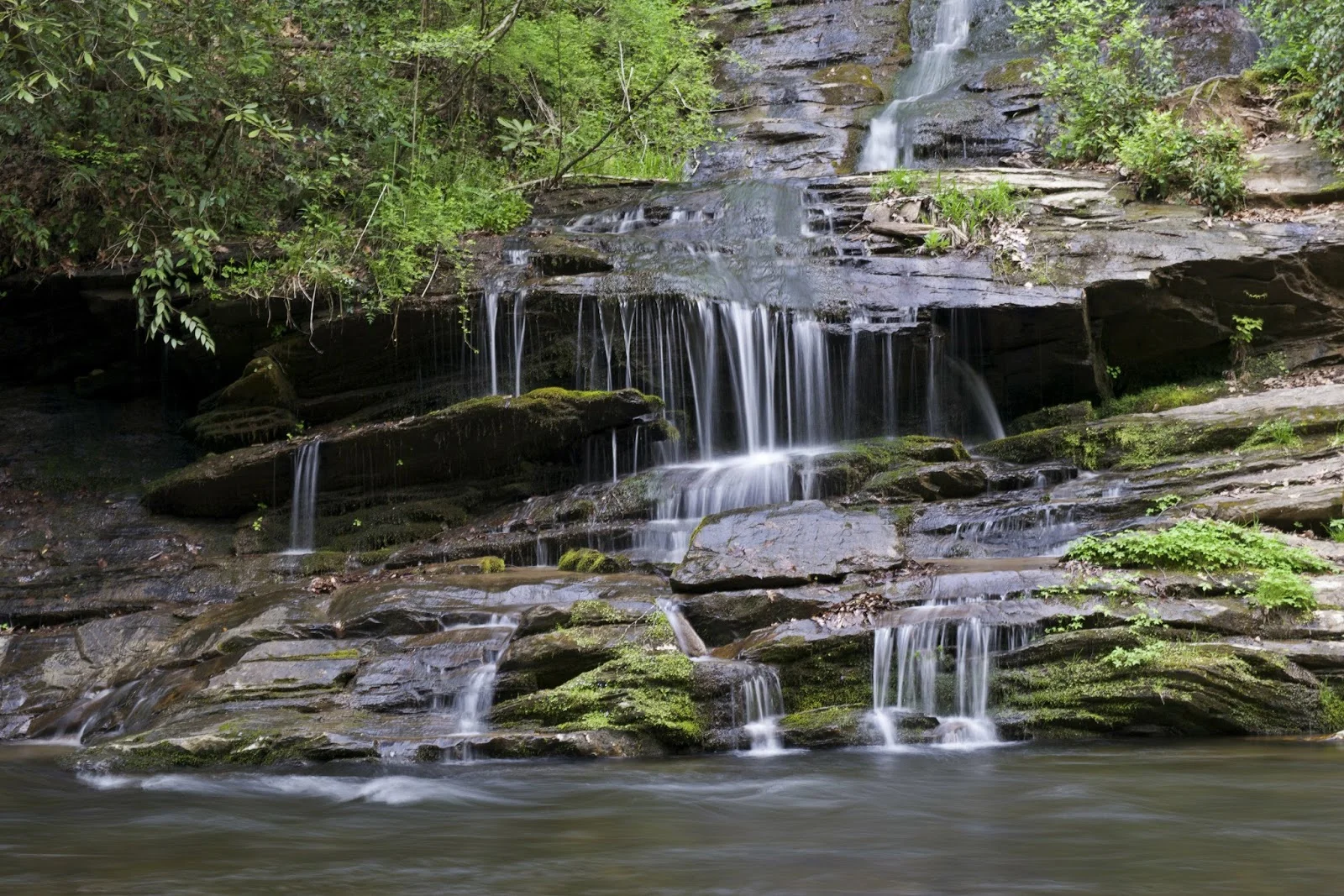 DSC_0616.jpg