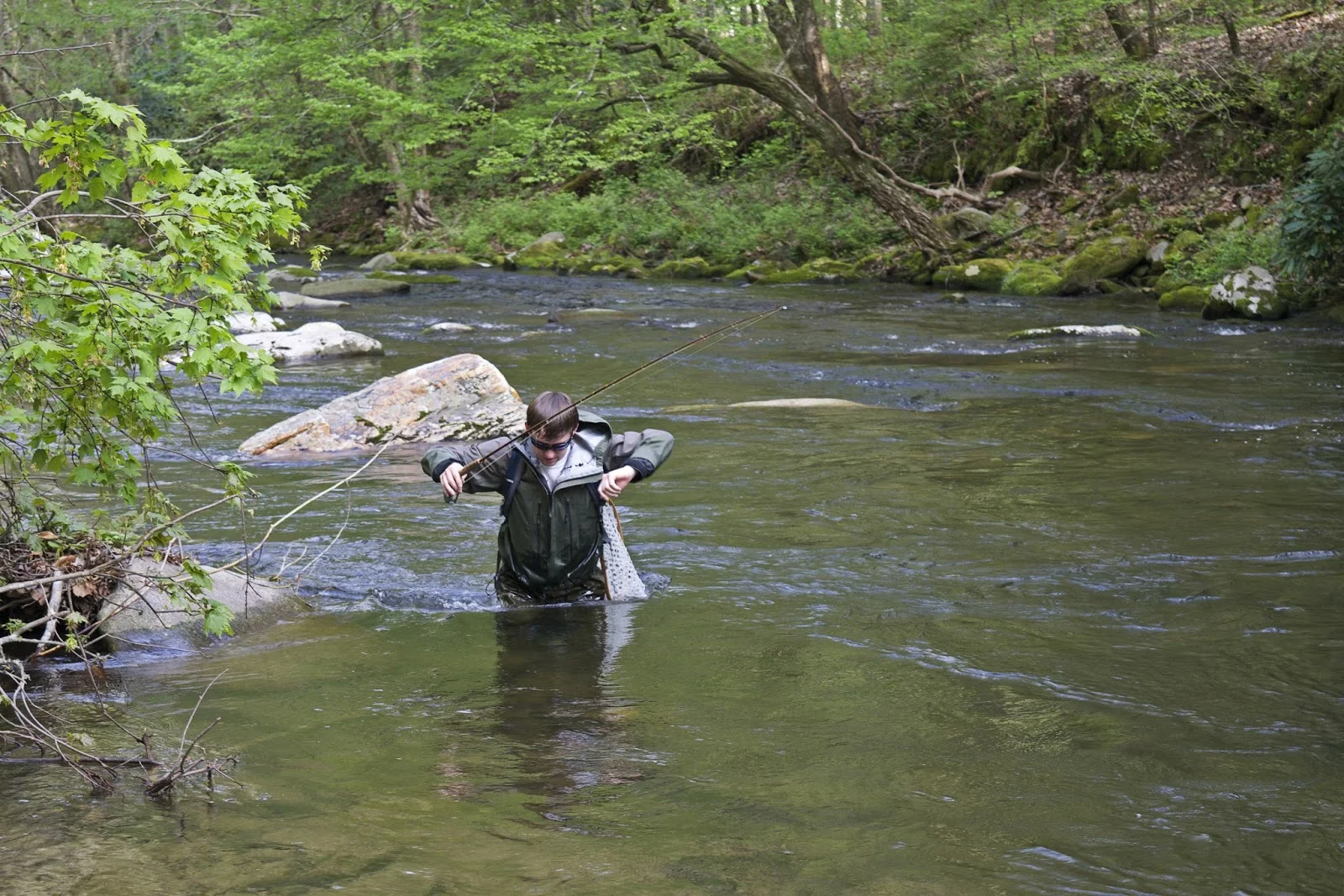 DSC_0552.jpg