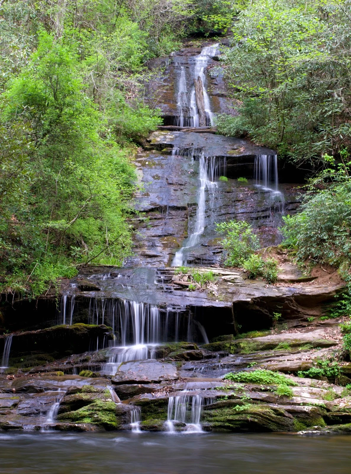DSC_0612.jpg