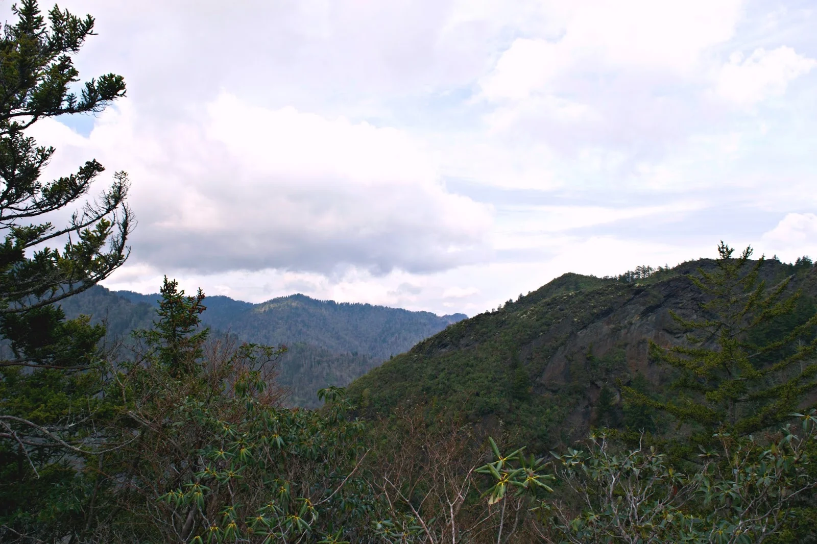 DSC_0651.jpg
