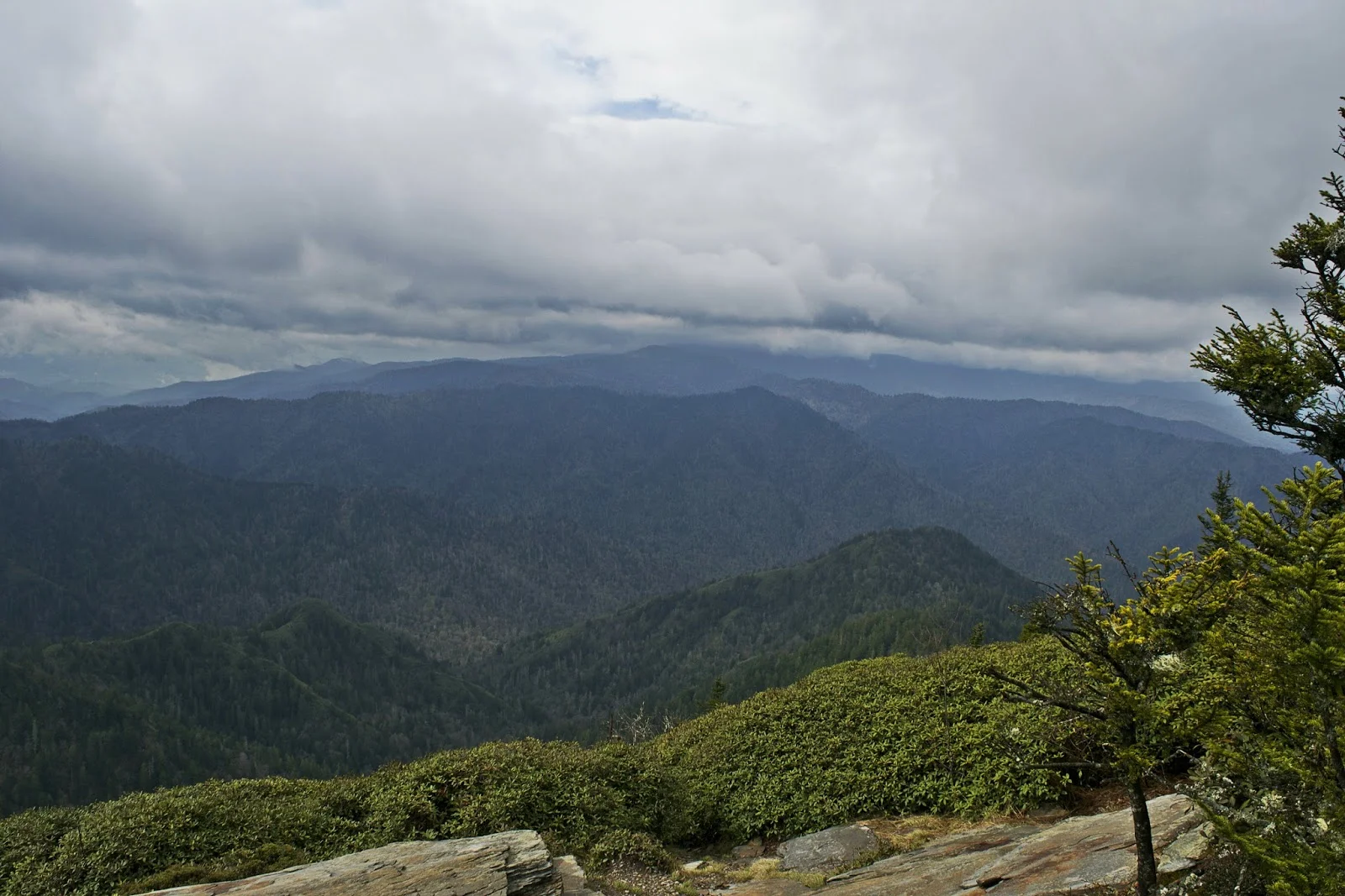 DSC_0716.jpg