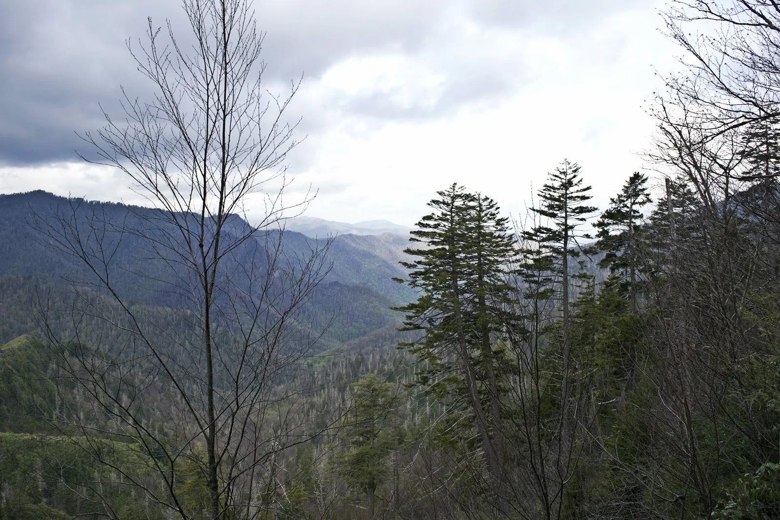 DSC_0685.jpg