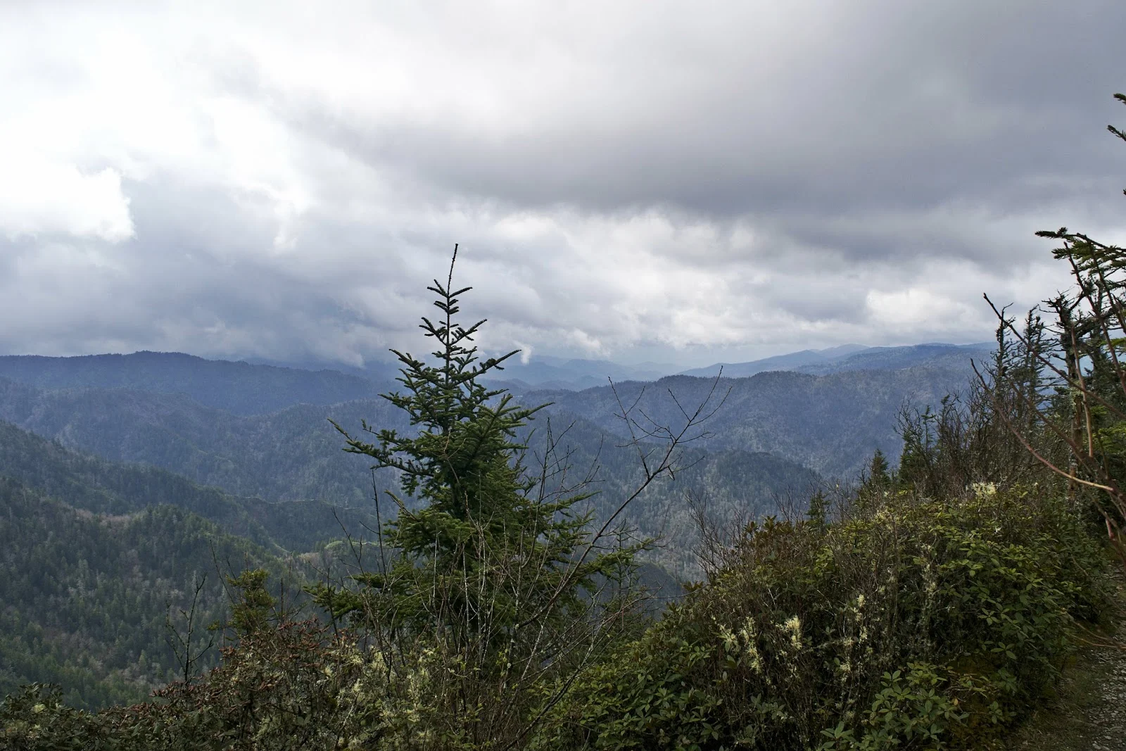 DSC_0745.jpg