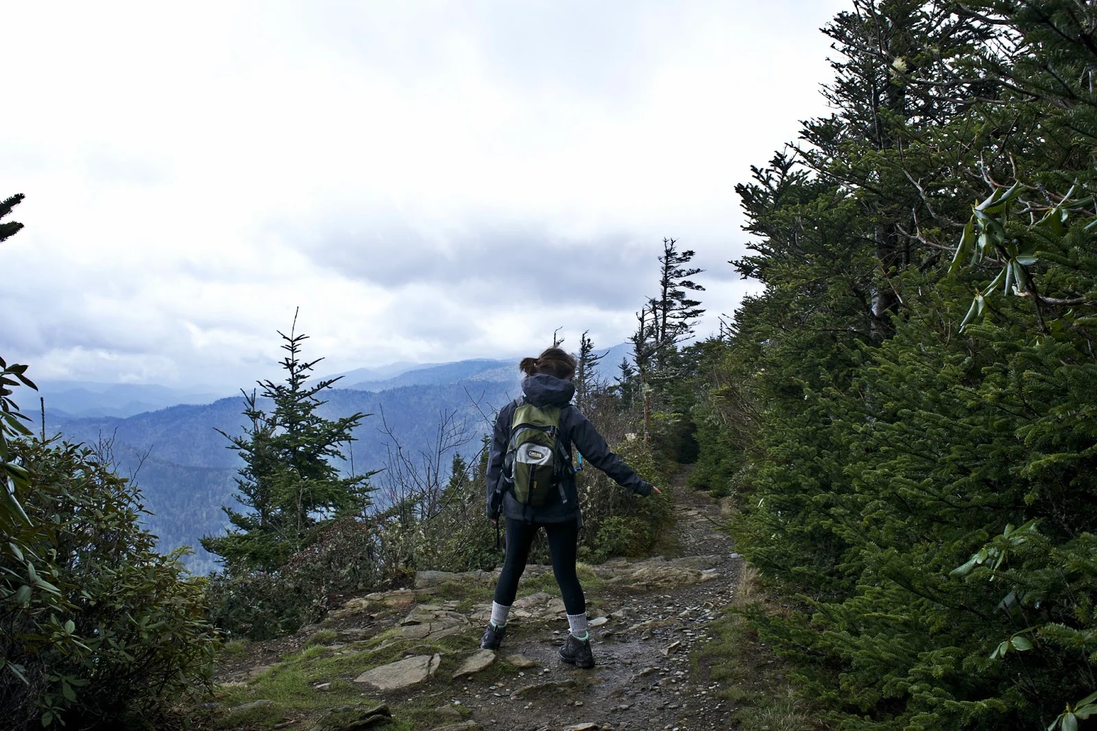 DSC_0736.jpg