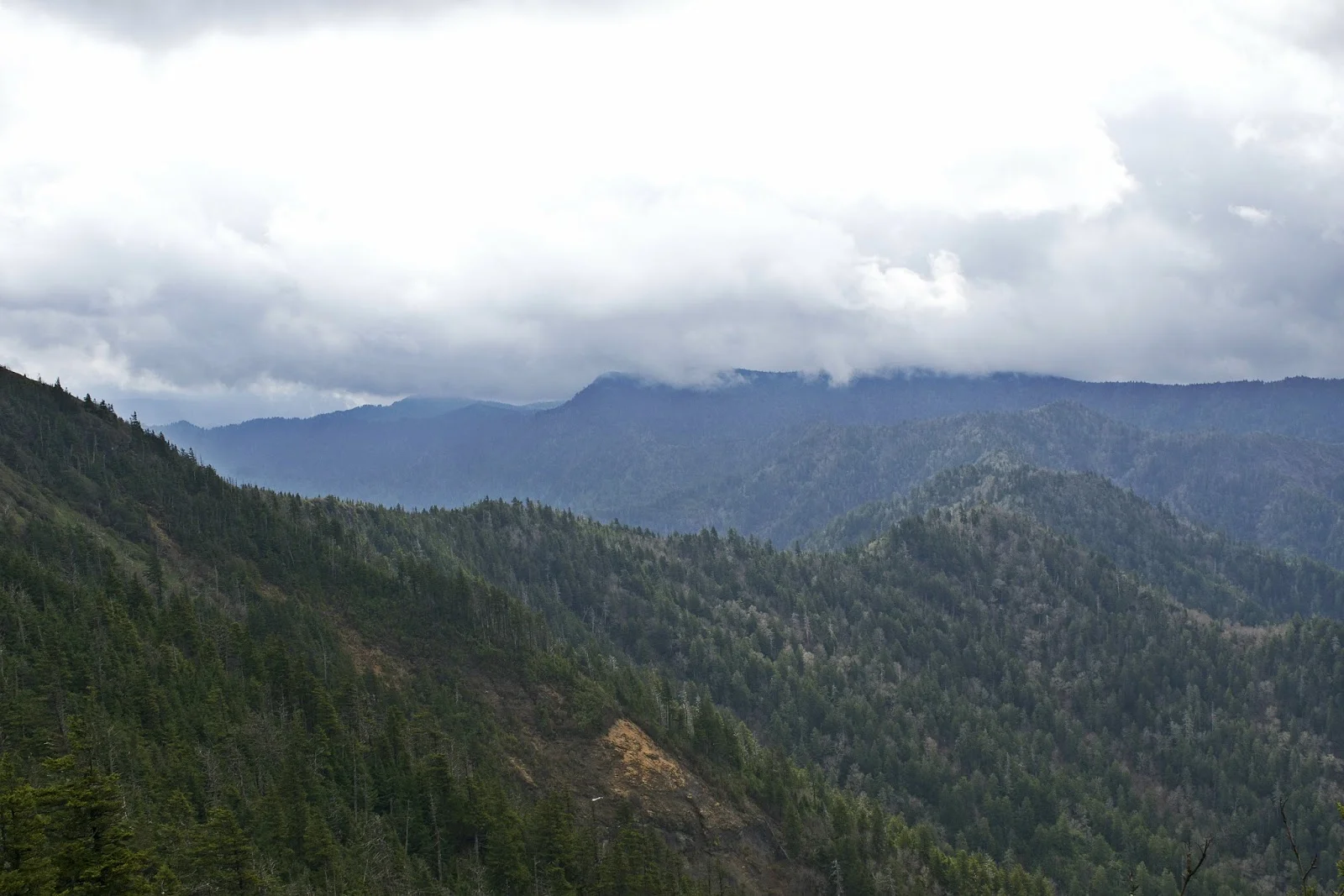 DSC_0747.jpg