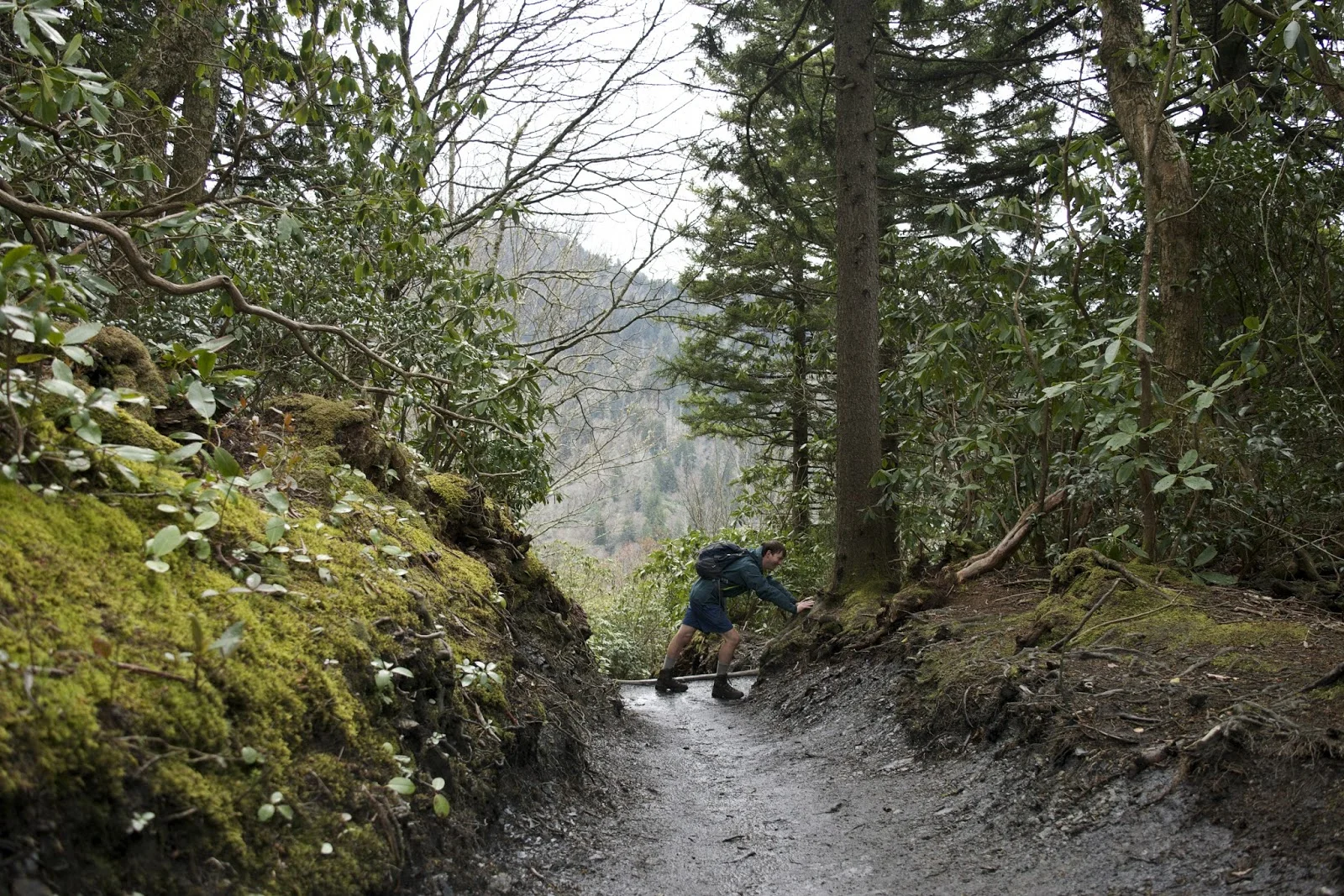 DSC_0785.jpg