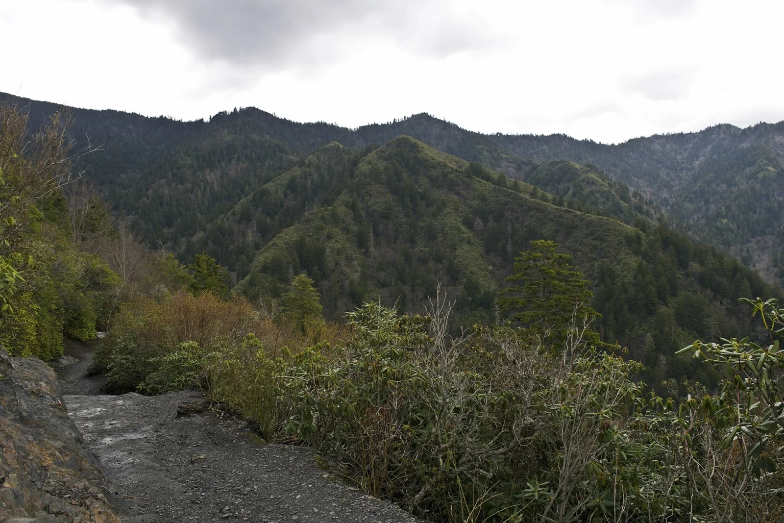 DSC_0793.jpg