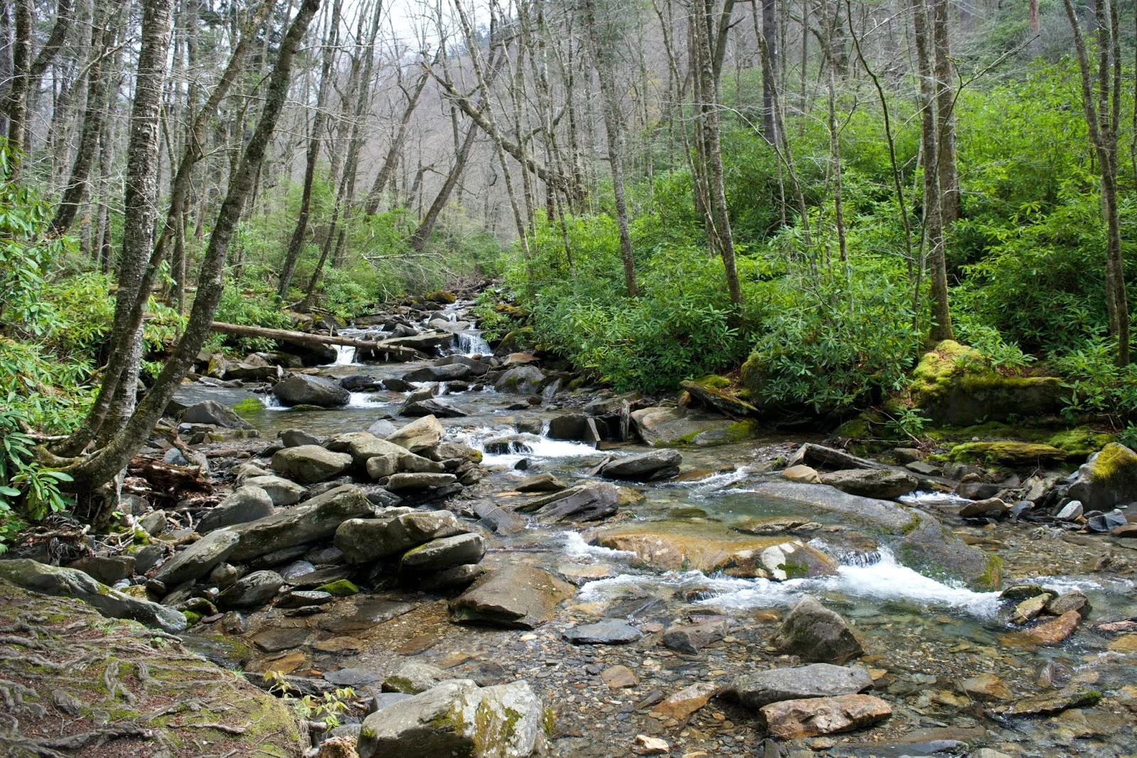 DSC_0806.jpg