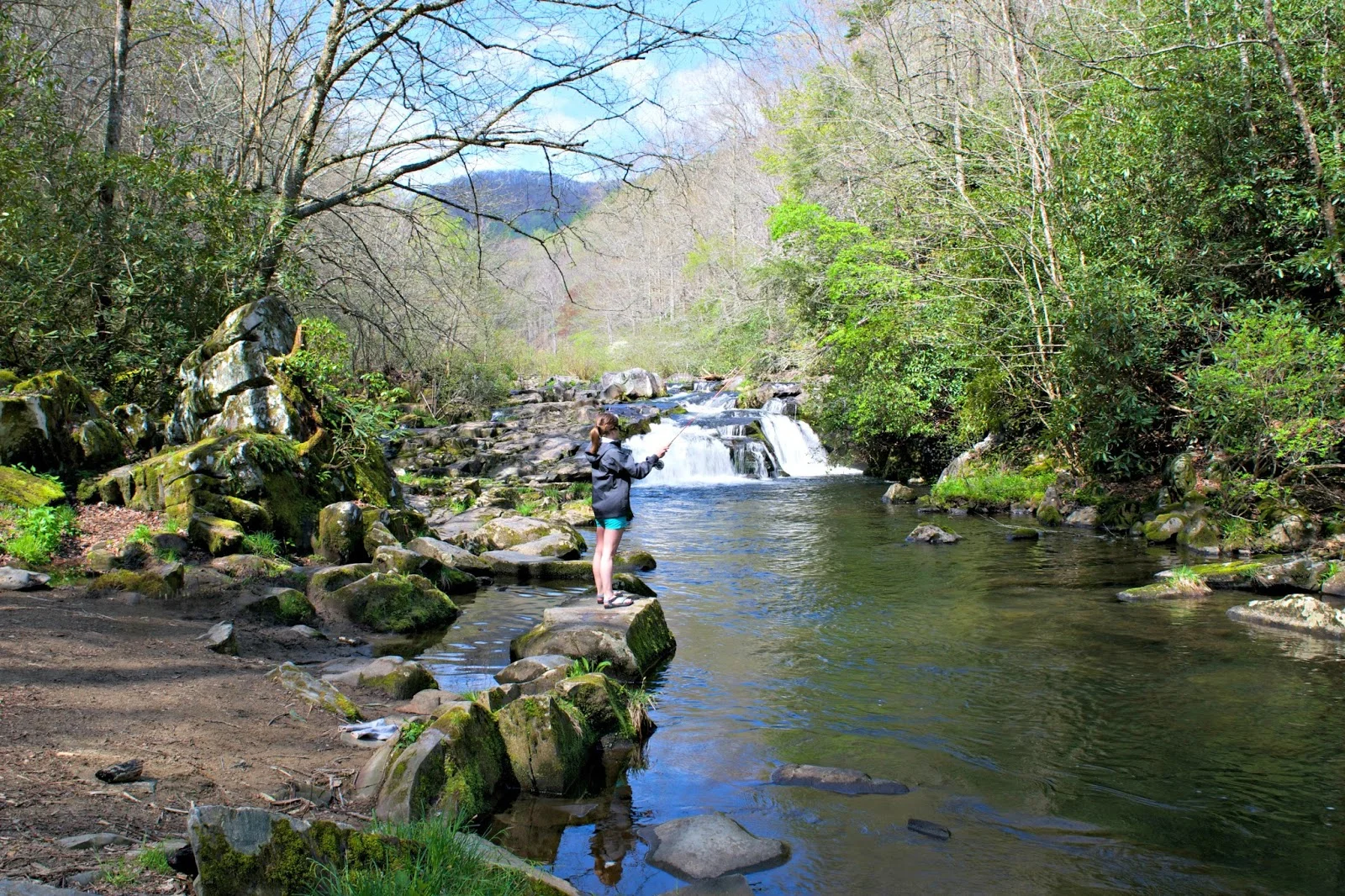 DSC_0504.jpg
