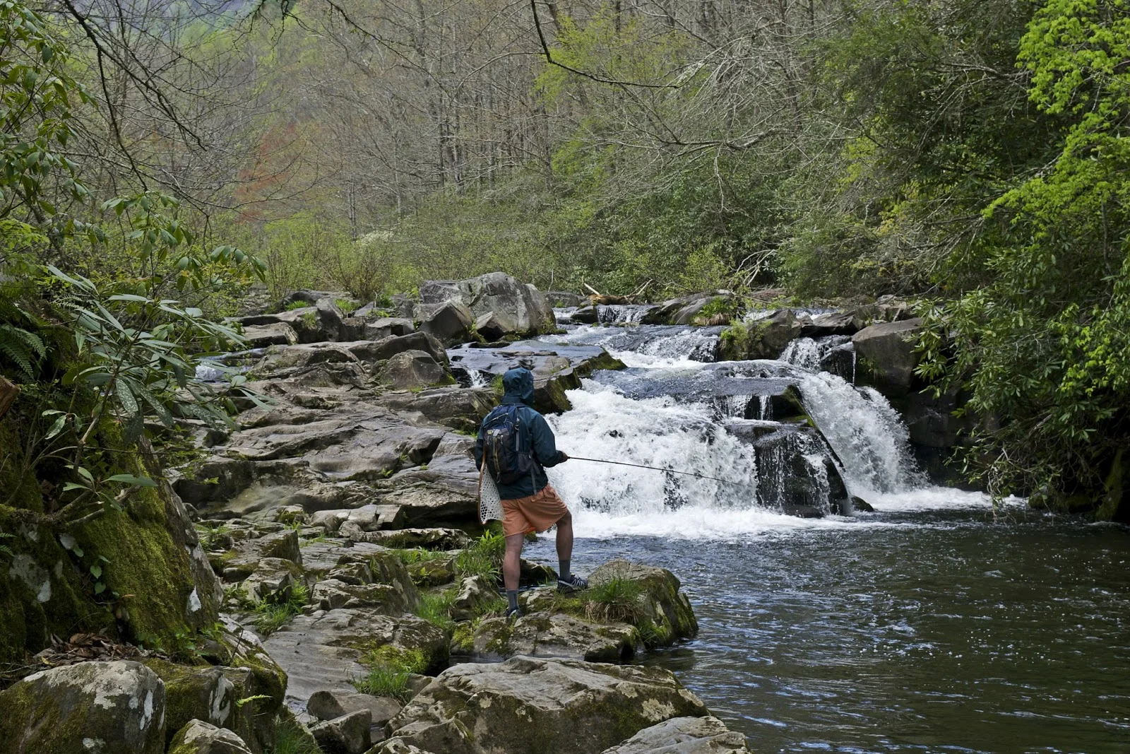 DSC_0526.jpg