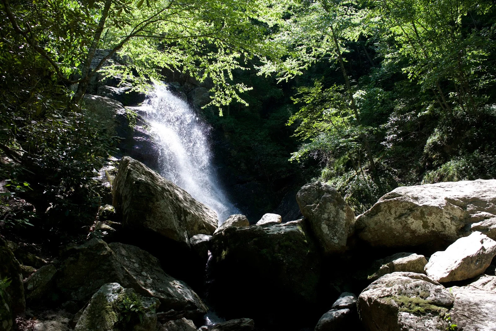 DSC_0670.jpg