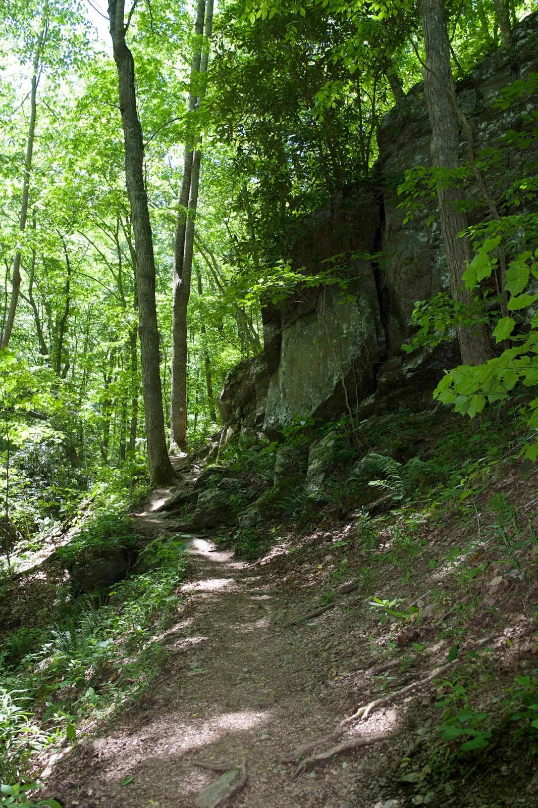 DSC_0603.jpg