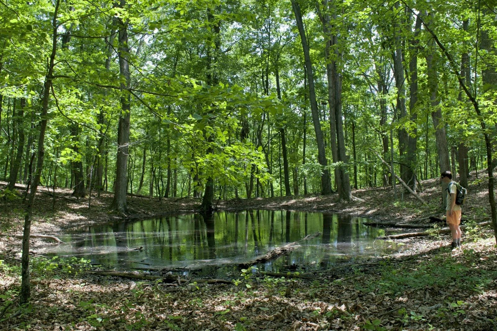 DSC_0685.jpg