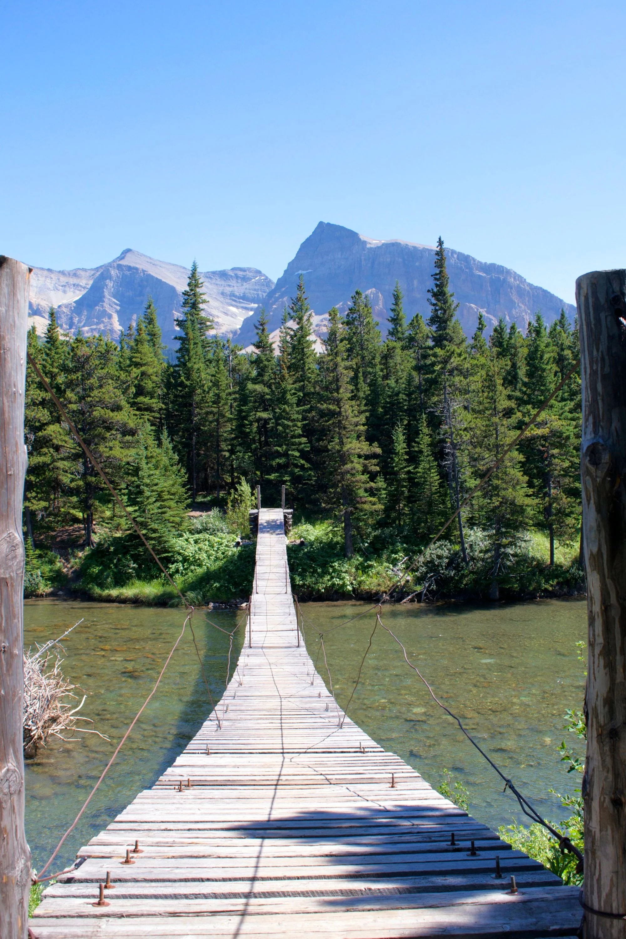 The longest footbridge in Glacier National Park's backcountry, according to the ranger we ran into.