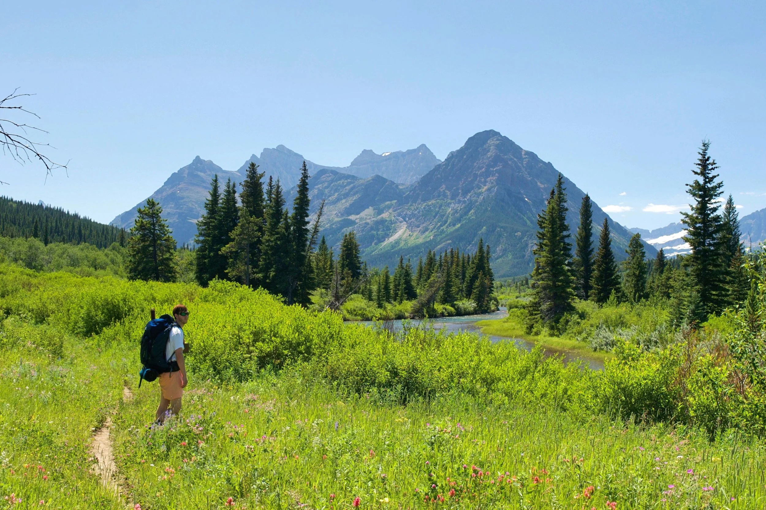 If you look closely you can see the field is dotted with all different color wildflowers; they were in peak bloom!