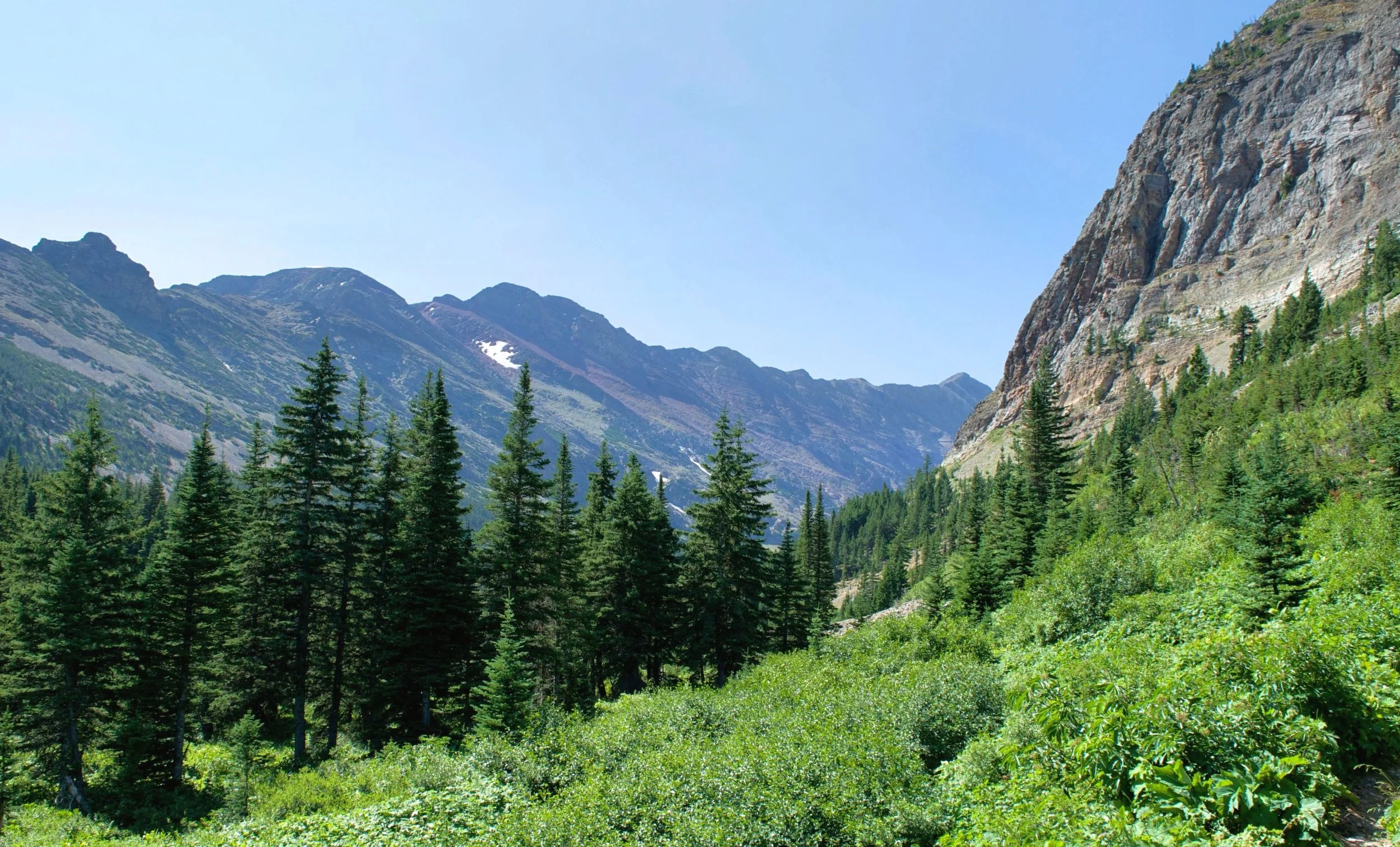 DSC_0135.jpg
