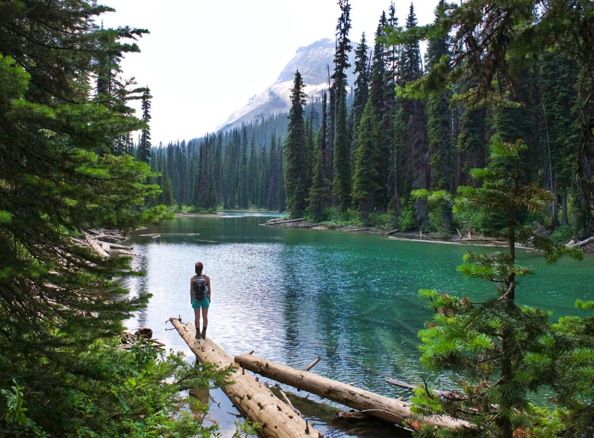 Hidden Lake, Yoho National Park