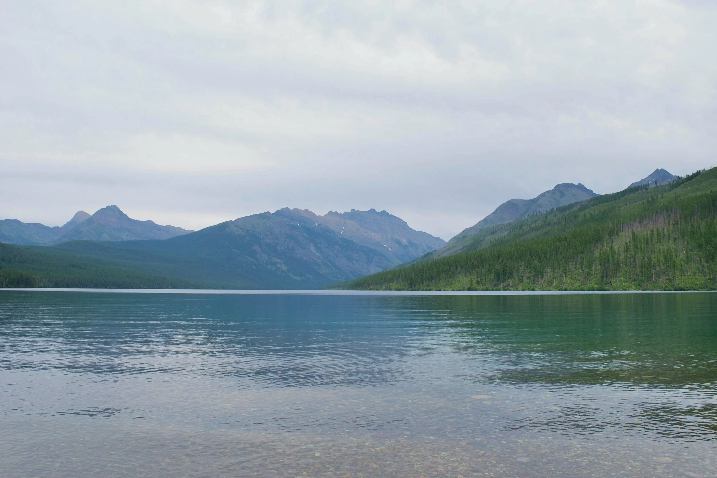 DSC_0126.jpg
