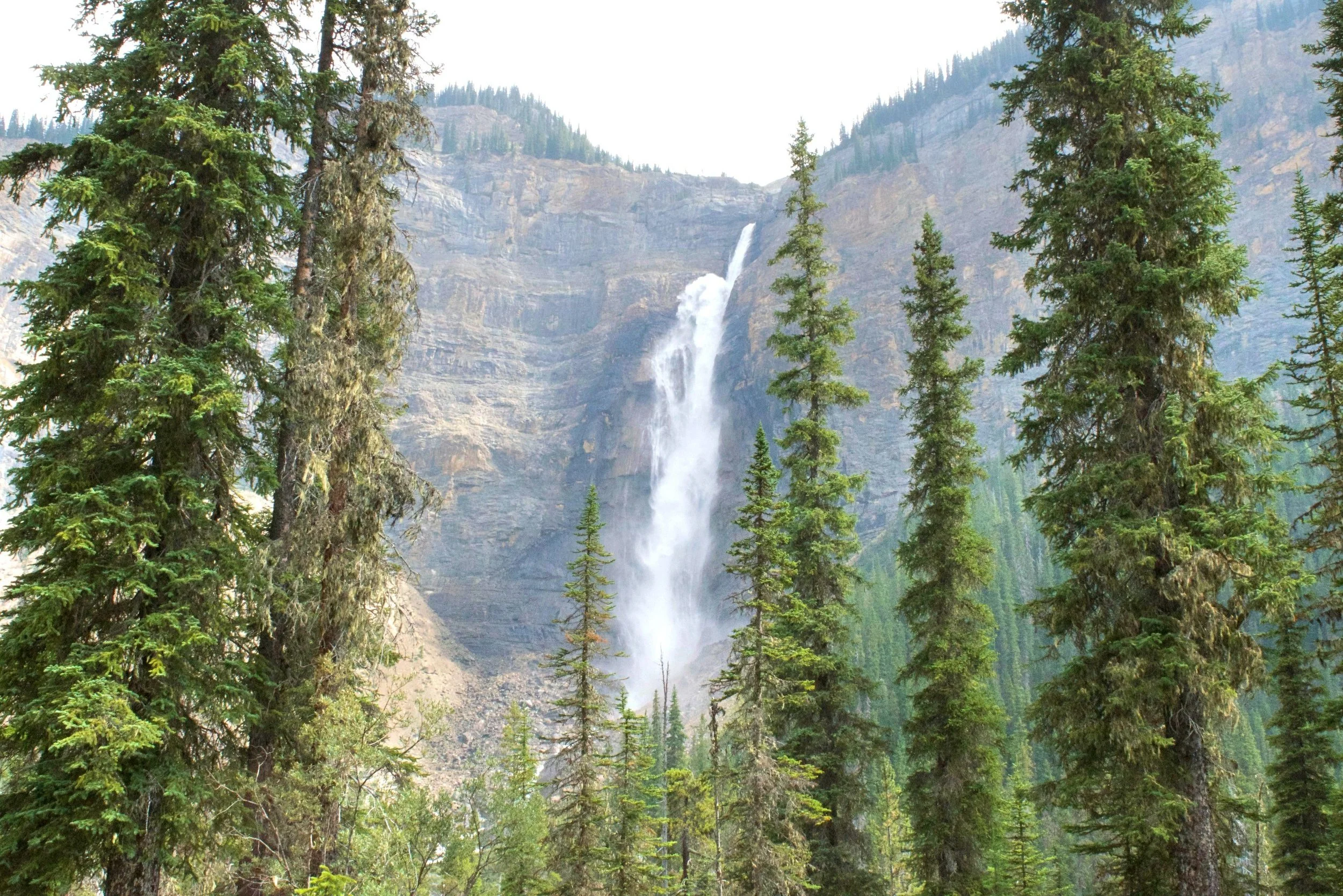 You start off by hiking past Takakkaw Falls