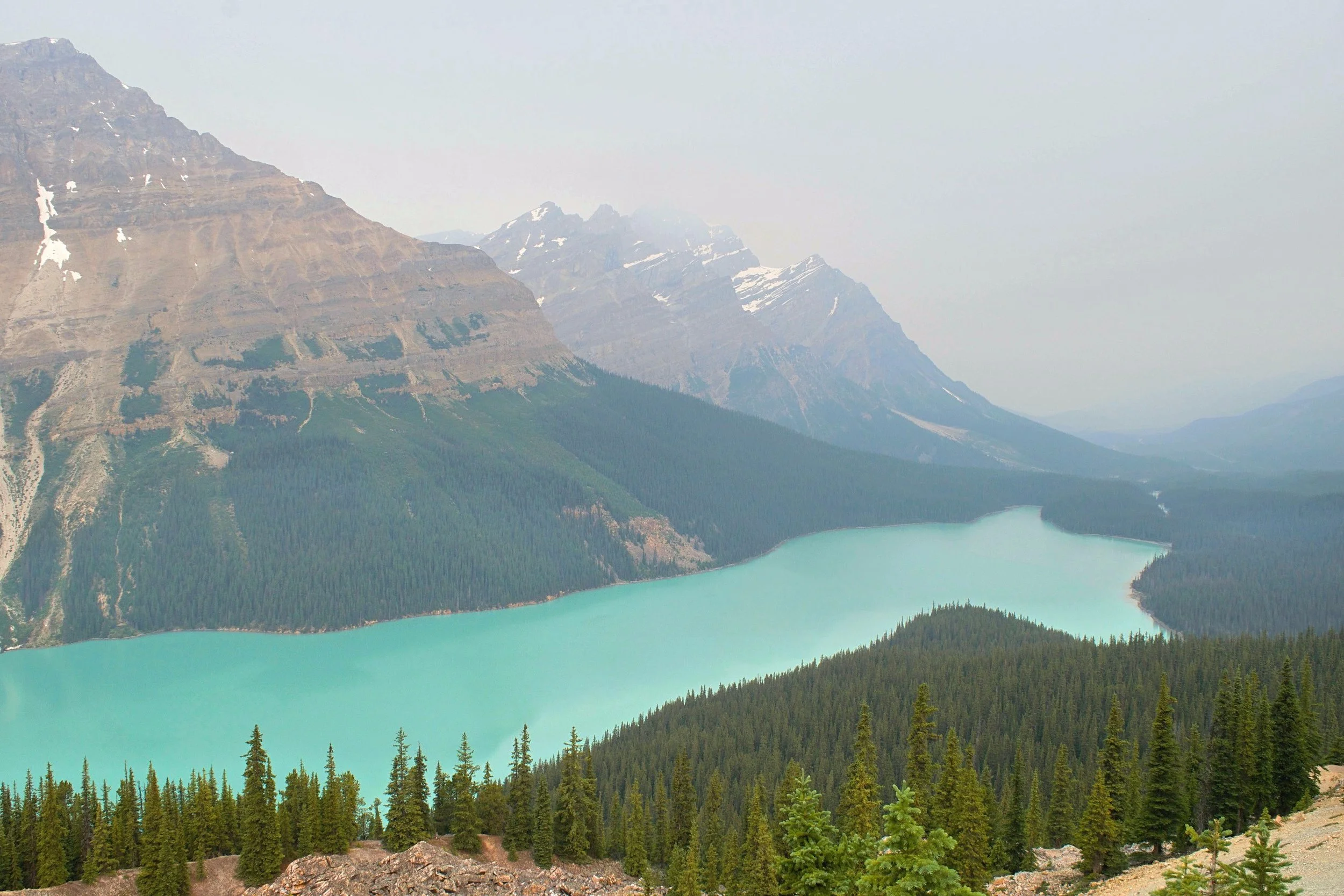DSC_0283.jpg