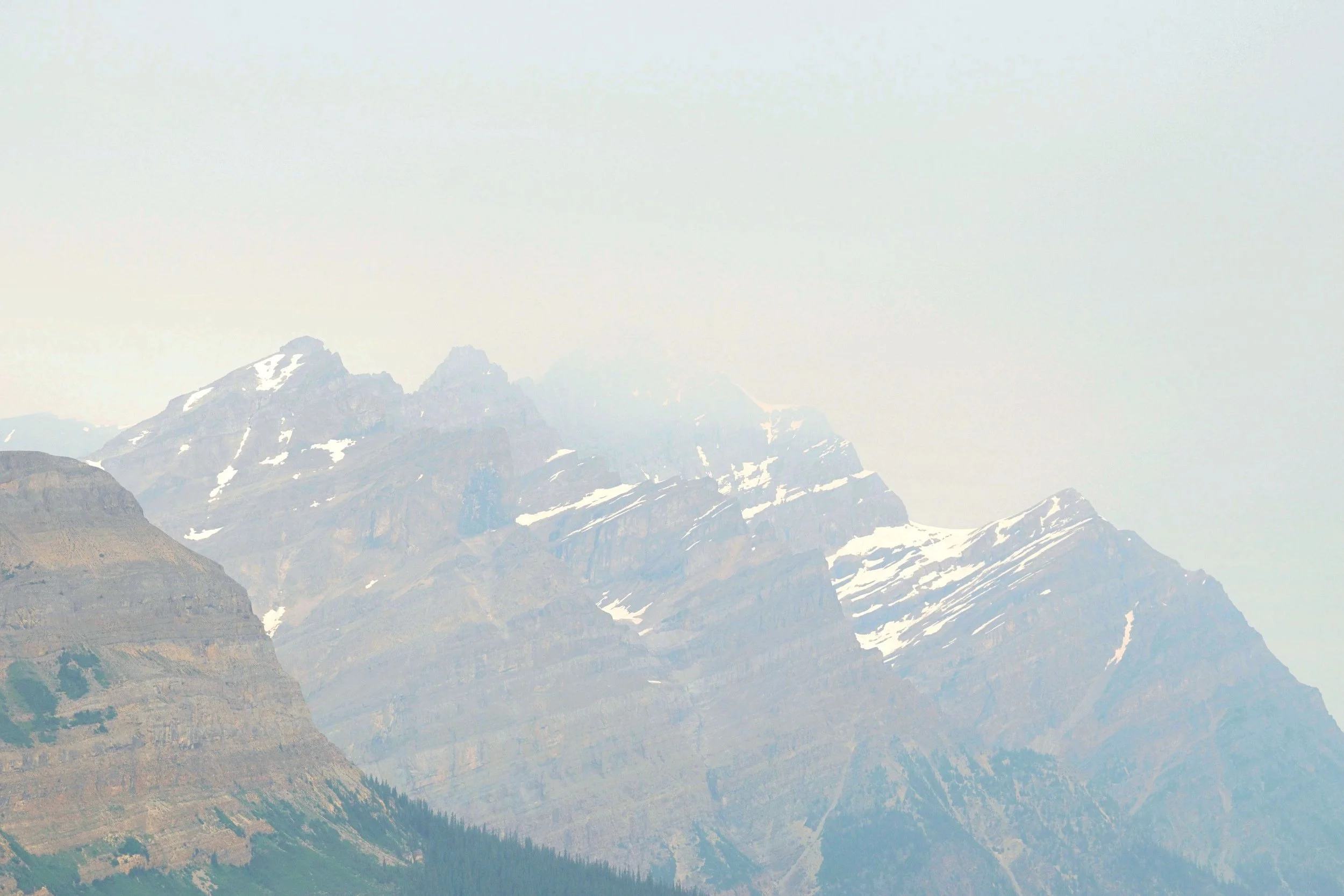 DSC_0337.jpg