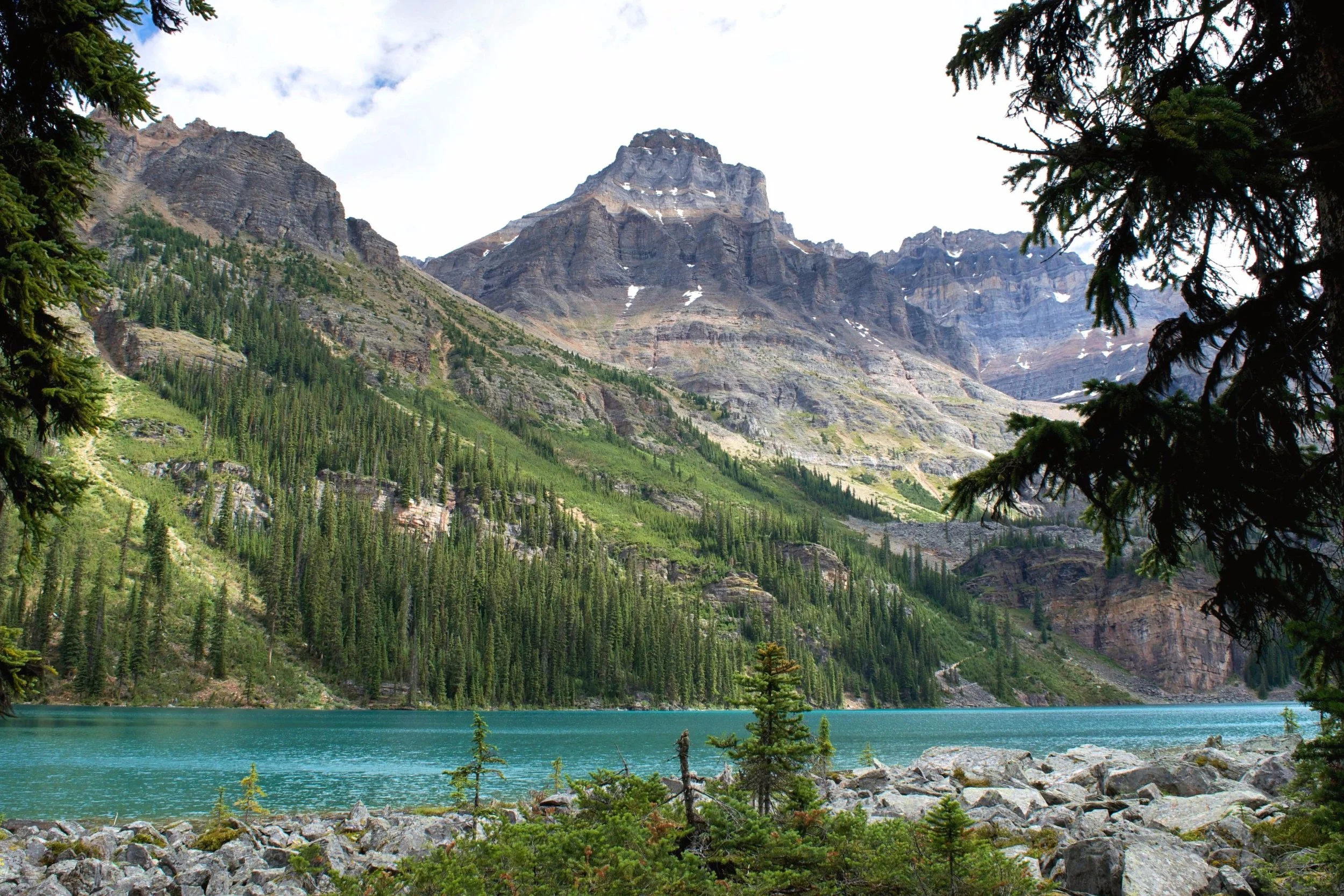 DSC_0718.jpg