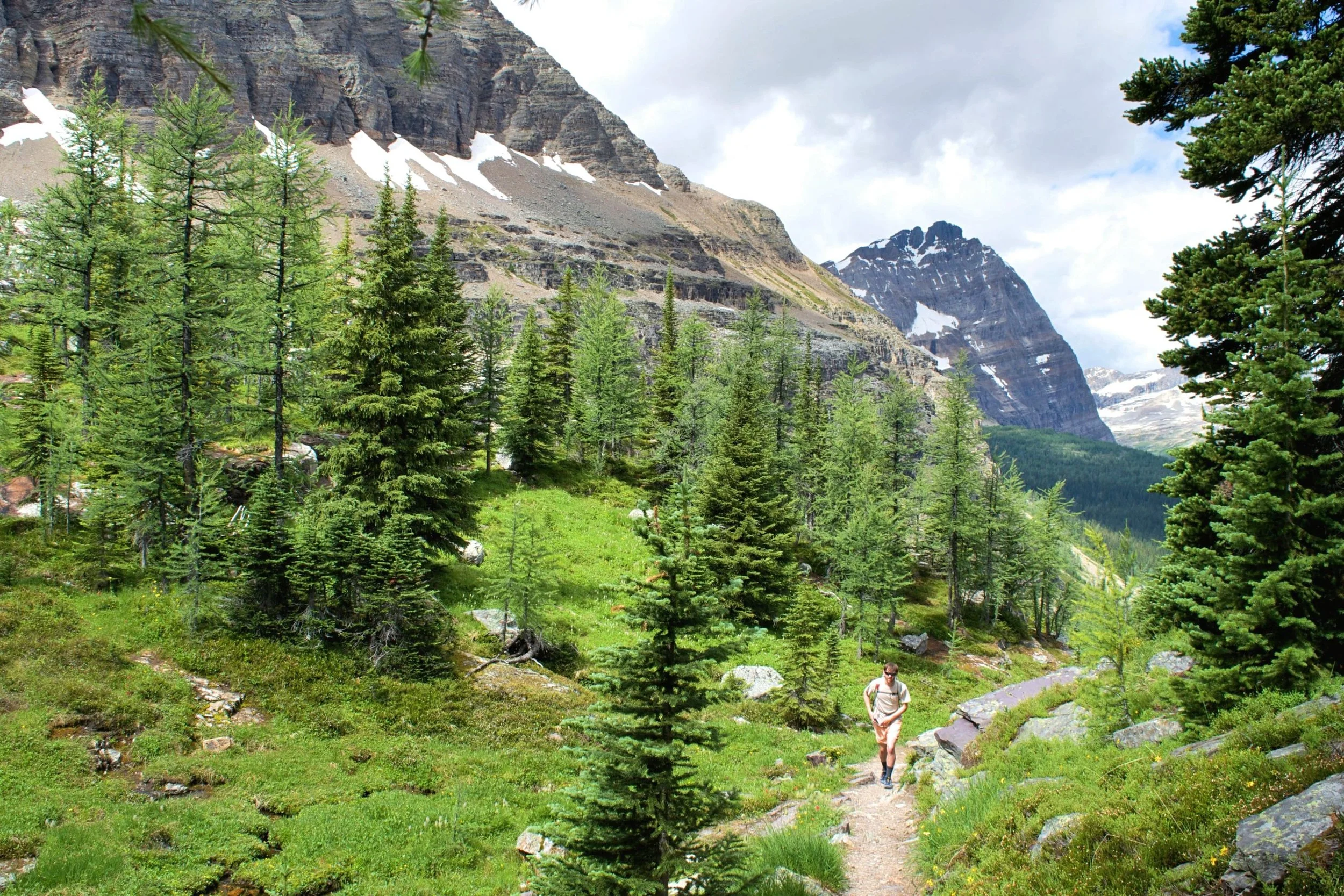 Hiking up into Opabin Pass
